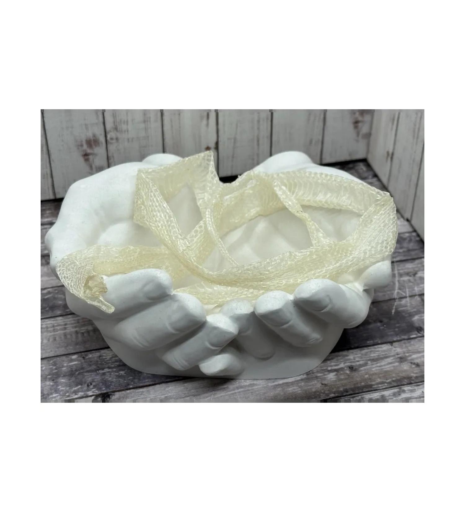 Snake skin is dry The skin of the snake is whole