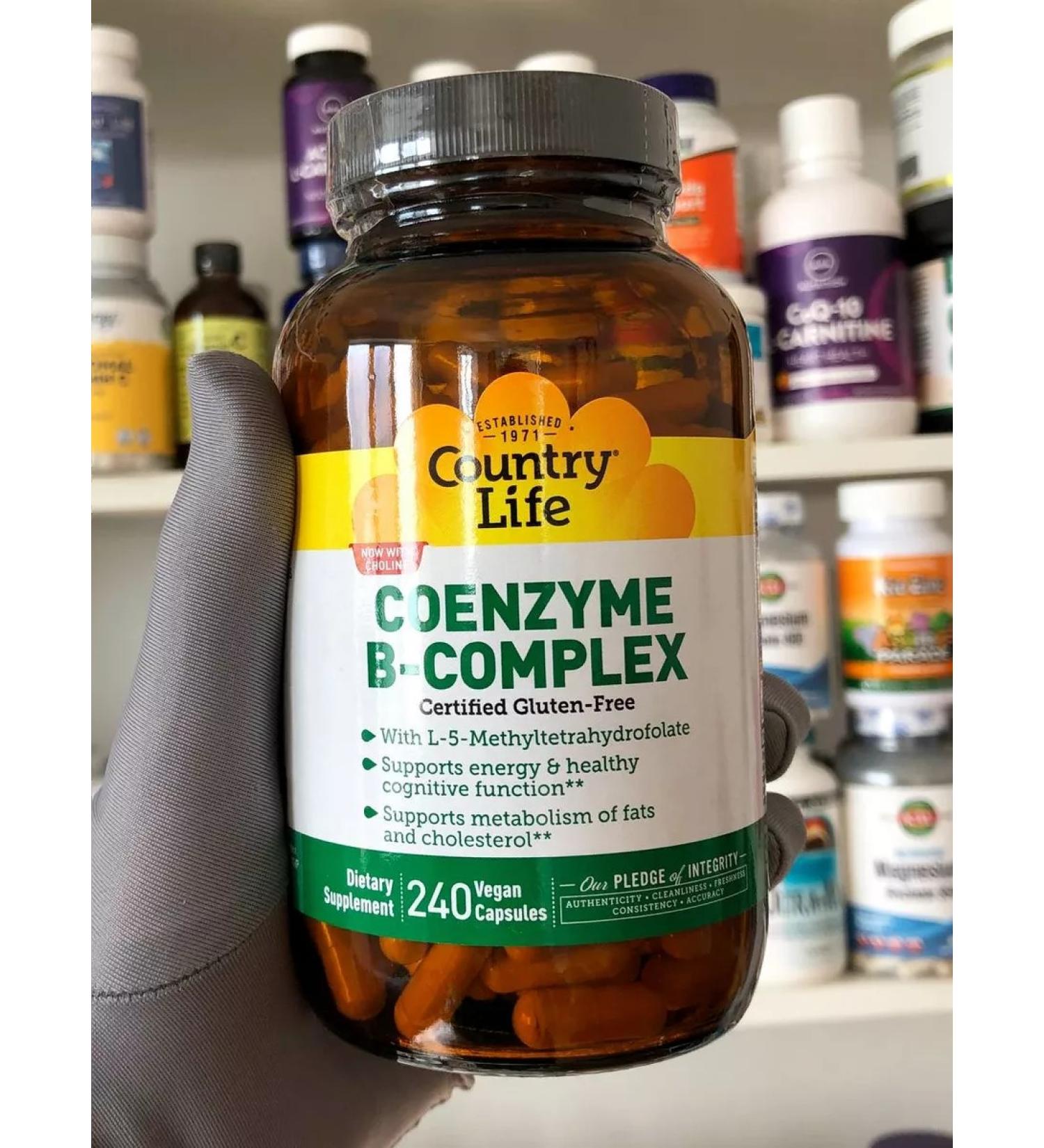 Country Life Coenzym B complex in 240 capsules