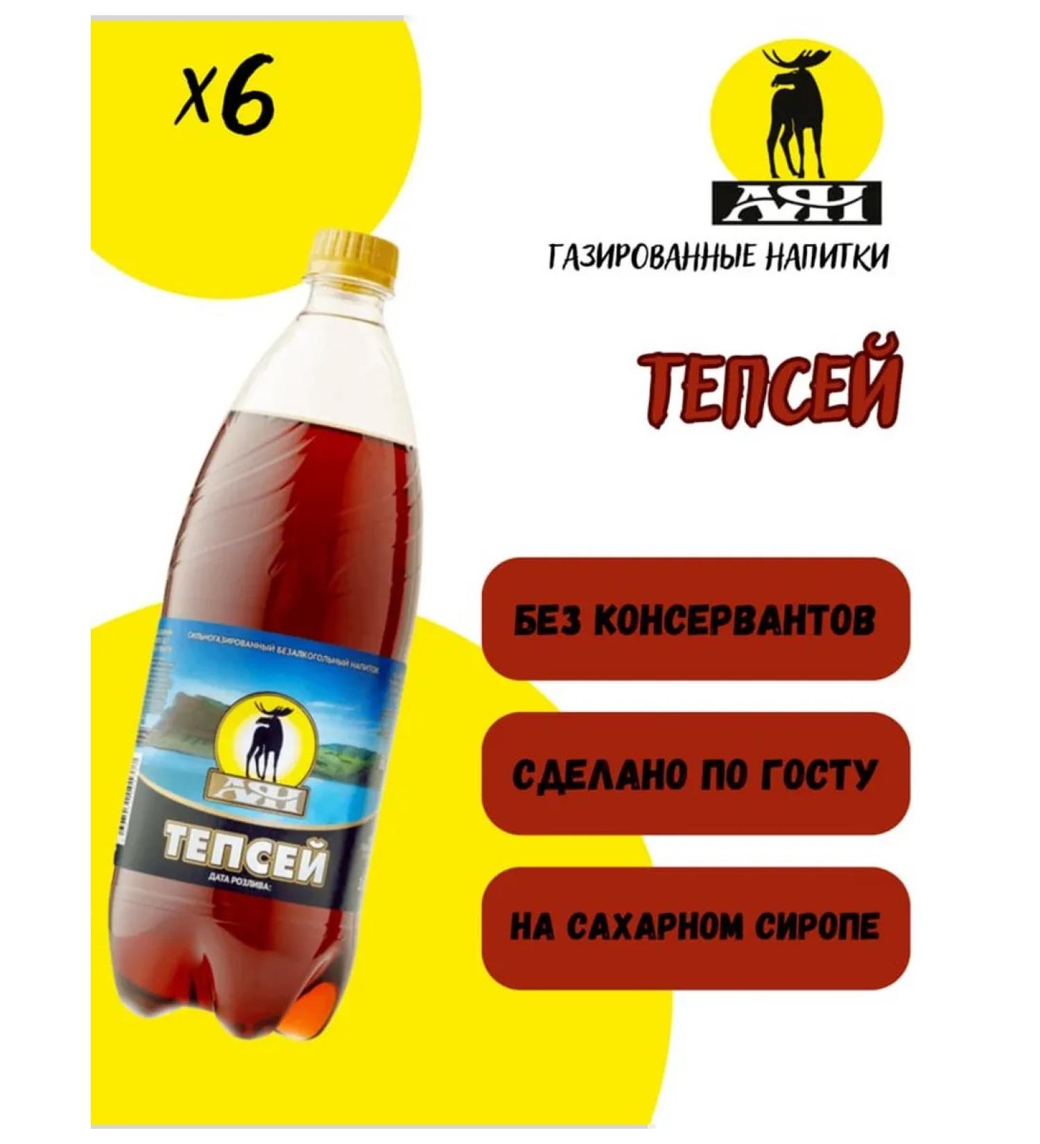 AYAN Drink strongly carbonated Tepsa 1 liter 6 pieces