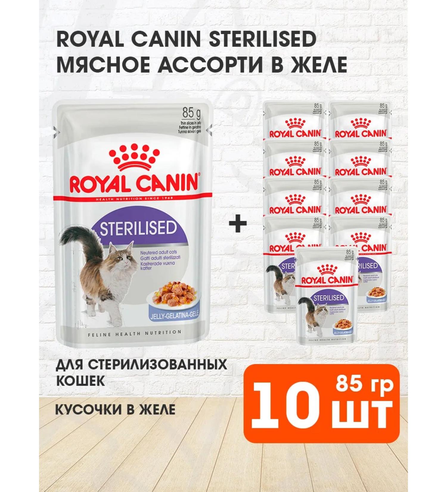 ROYAL CANIN Wet sterilized feed sterilized cats jelly 85 g 10pcs - Buy Online on GoSupps.com