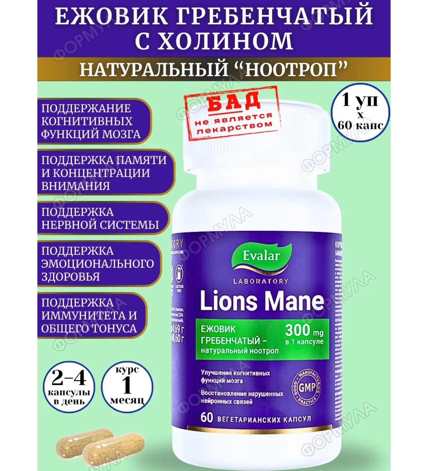 Evalar Cluscular hedgehog for improving the brain of 60kaps*1UP - Buy Online on GoSupps.com