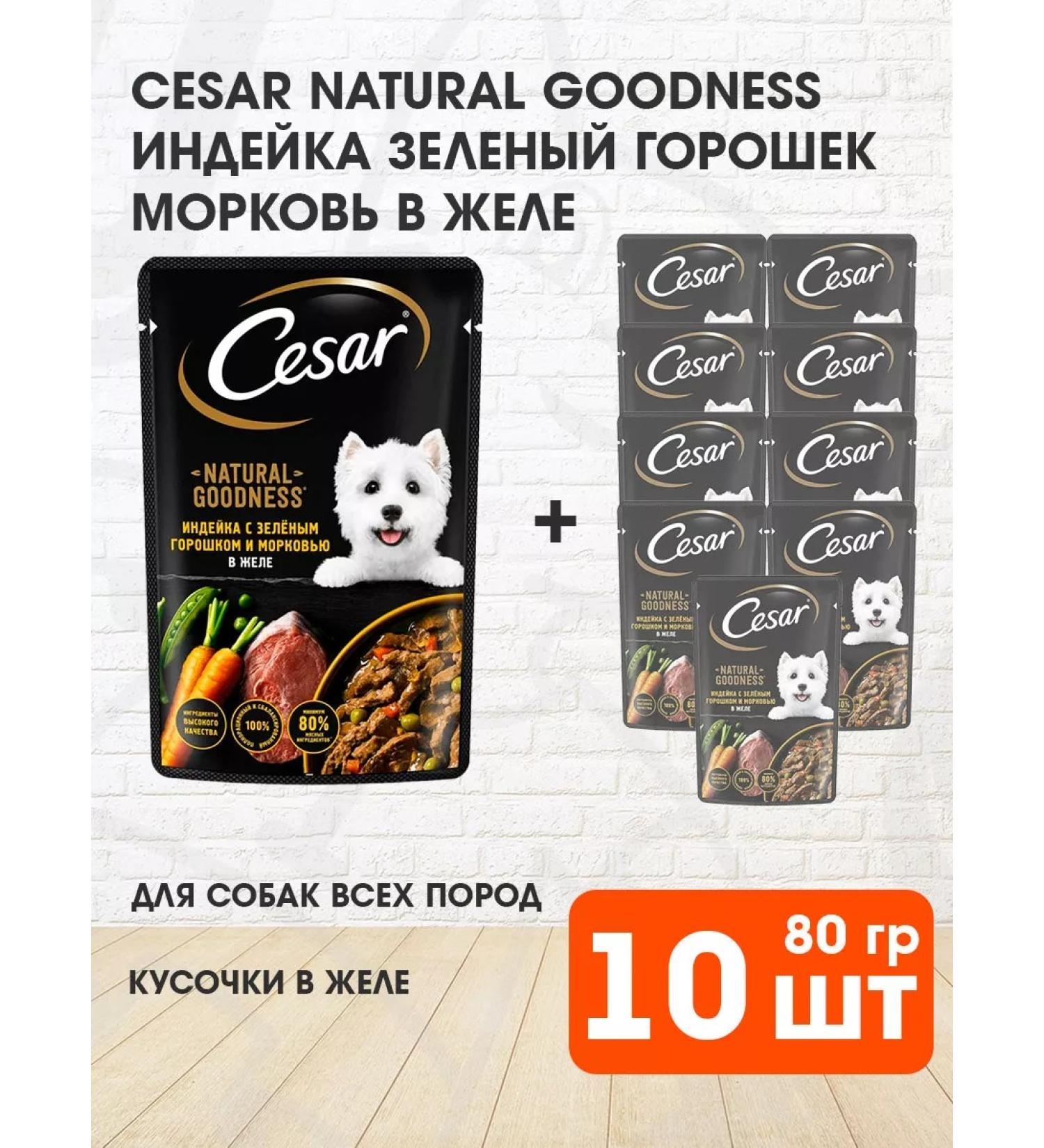 CESAR Wet feed for dogs turkey in jelly 80 g 10 pcs - Buy Online on GoSupps.com