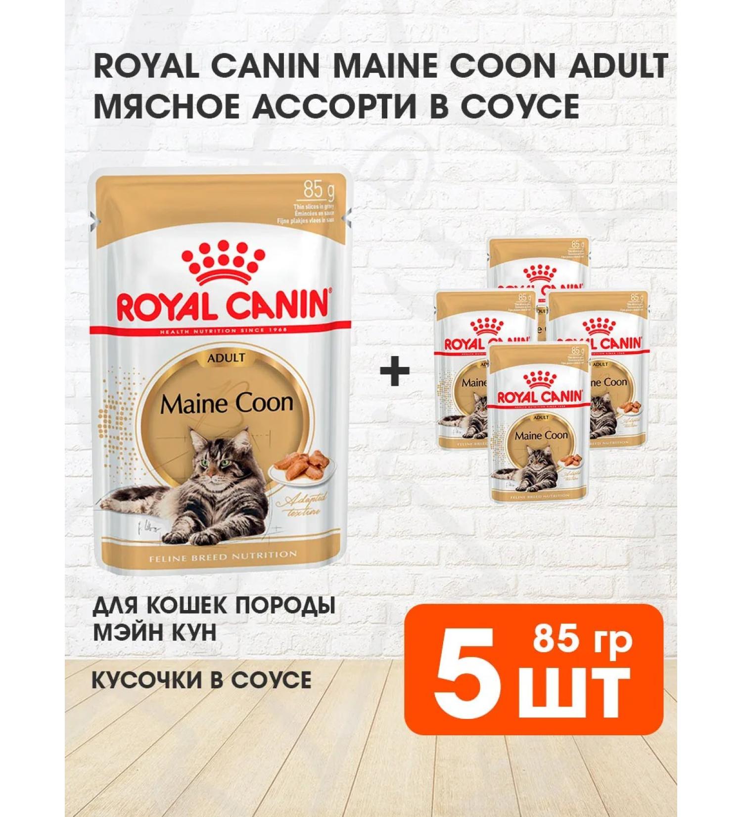 ROYAL CANIN Wet feed Main Coon for cats Maine Kun 85 g 5pcs - Buy Online on GoSupps.com