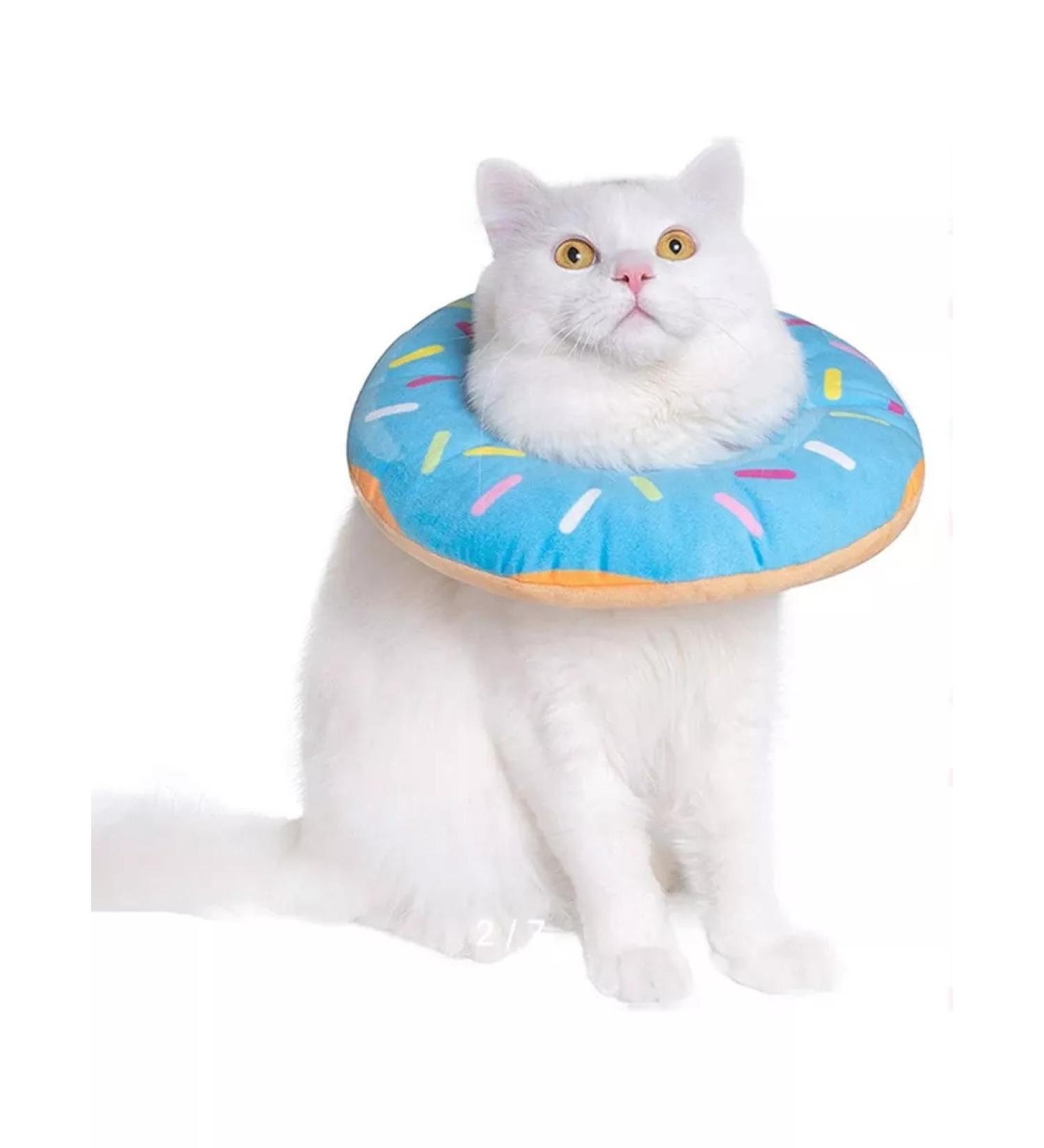 Dog60 Veterinary XS veterinary collar for cats and dogs - Buy Online on GoSupps.com