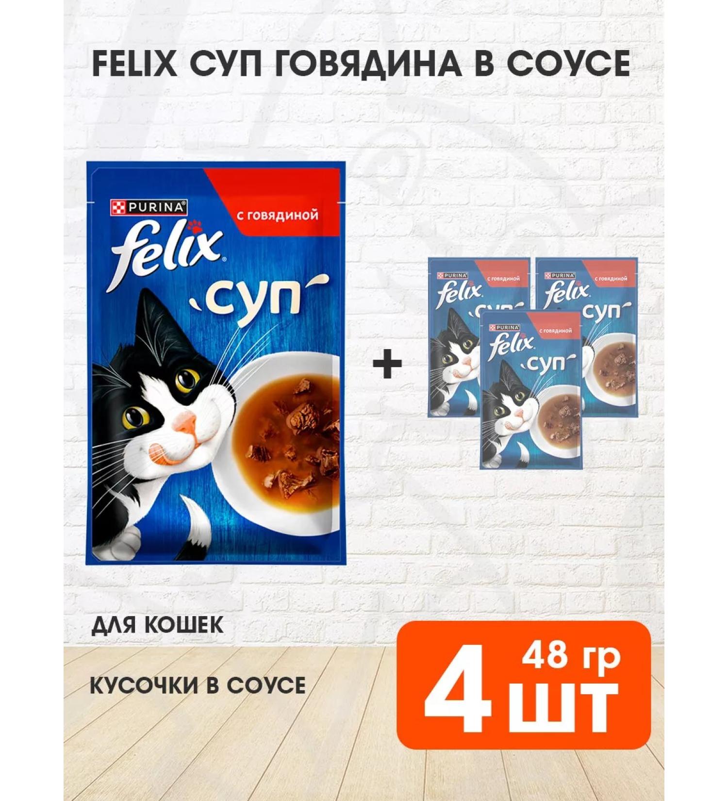 FELIX Feed Wet soup for cats beef sauce 48 g 4 pcs - Buy Online on GoSupps.com