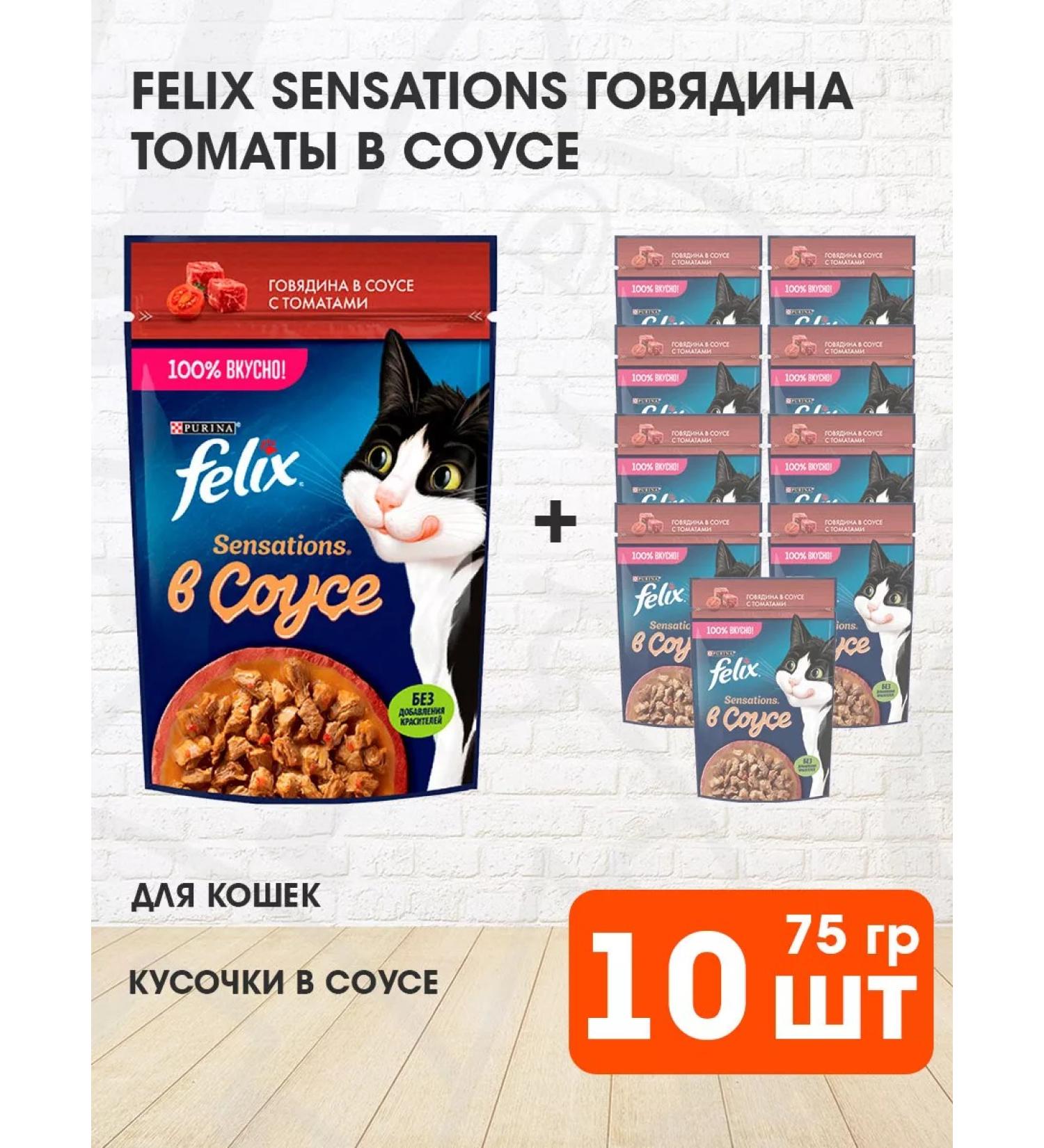 FELIX Sensations food for cats beef tomatoes sauce 75 g 10 pcs - Buy Online on GoSupps.com