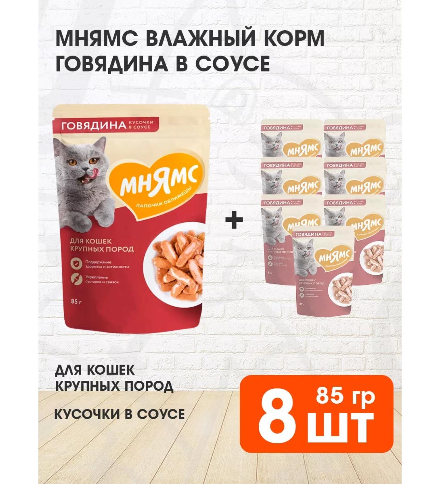 Mnyams Wet food for cats of large beef 85 g 8 pcs - Buy Online on GoSupps.com