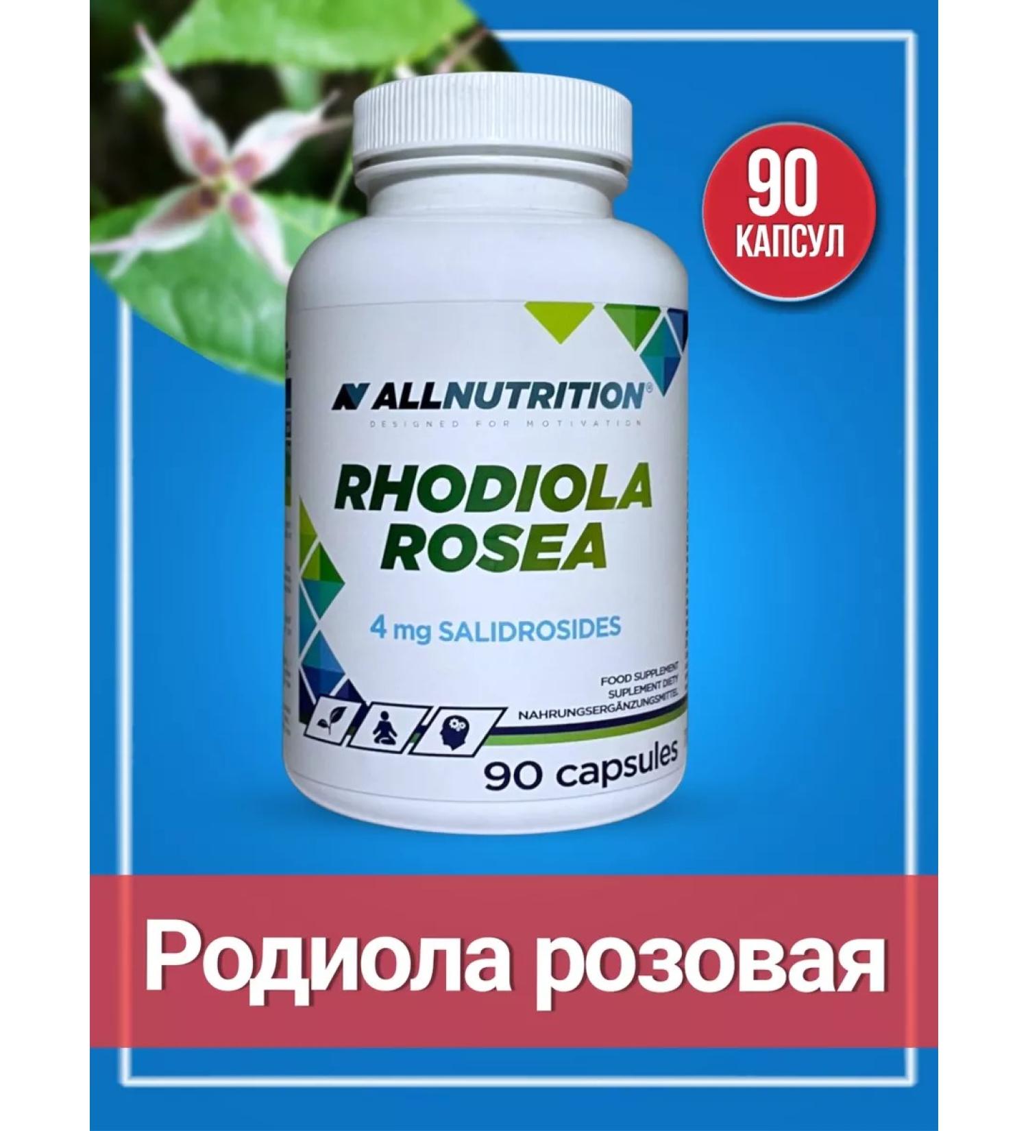 ALLNutrition Rhodiola pink for memory and energy 90 capsules - Buy Online on GoSupps.com