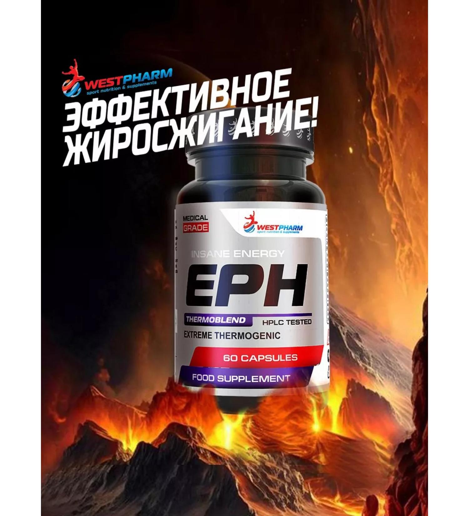 Westpharm EPH-TERMOBLEND 60 capsules - Buy Online on GoSupps.com