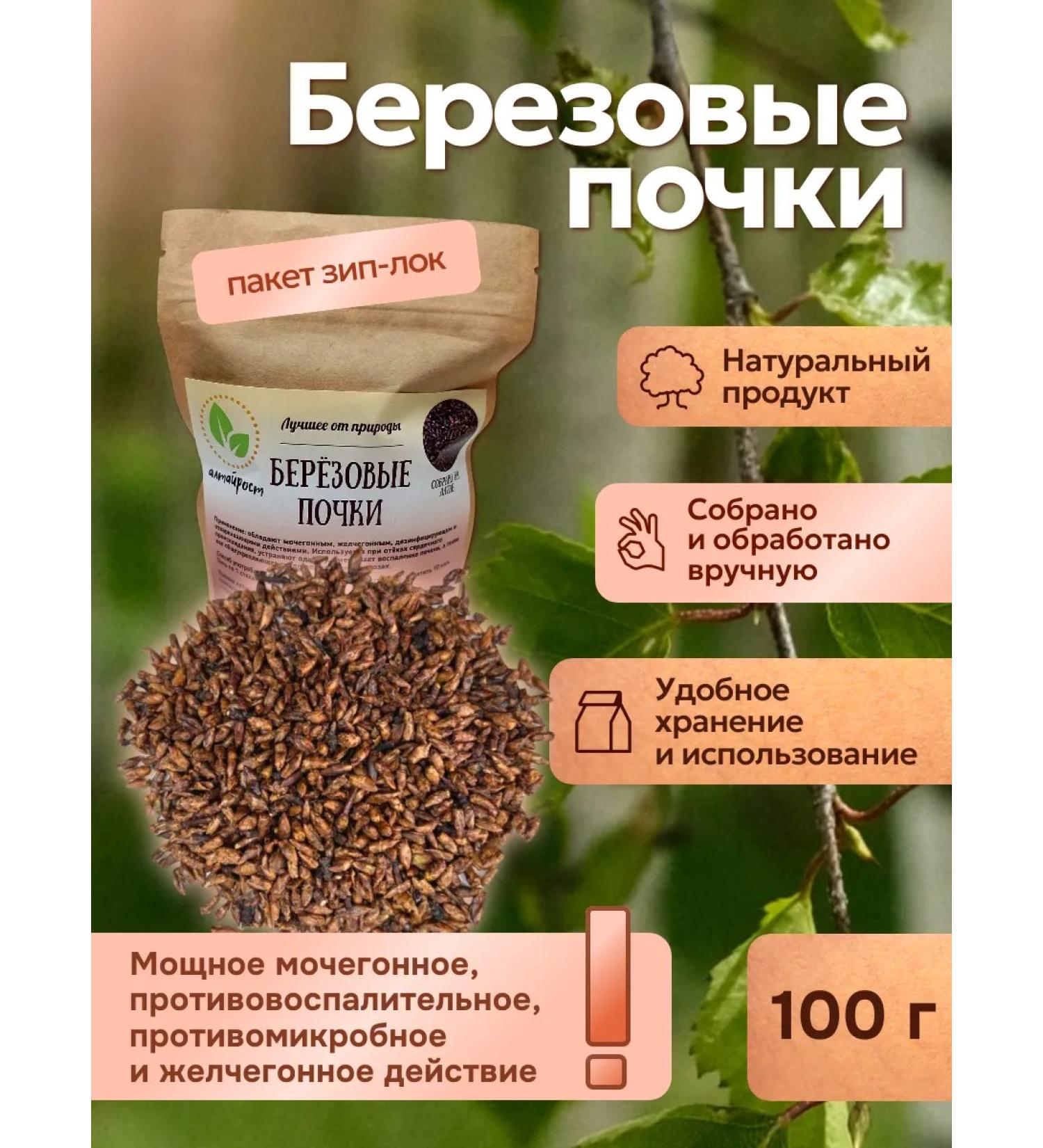 Altai Rost Birch buds 100 g - Buy Online on GoSupps.com