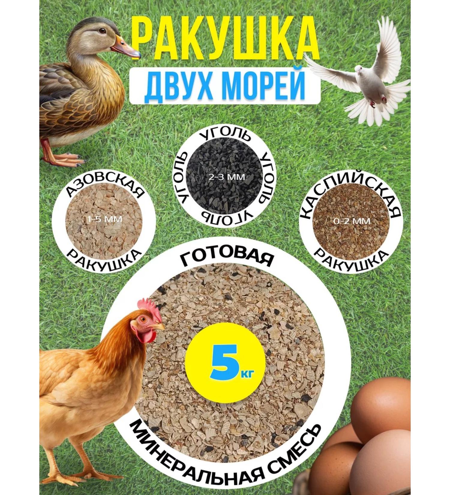 sOfari A shell for chickens - Buy Online on GoSupps.com