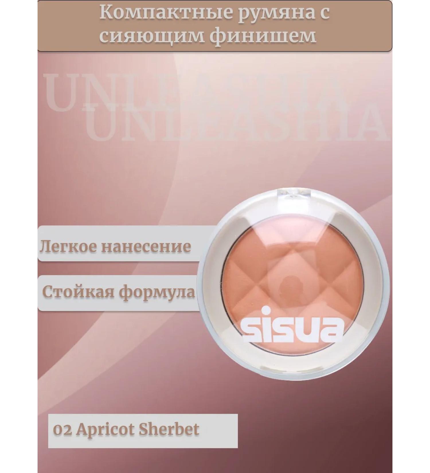 UNLEASHIA Compact blush with a shining finish 02 - Buy Online on GoSupps.com