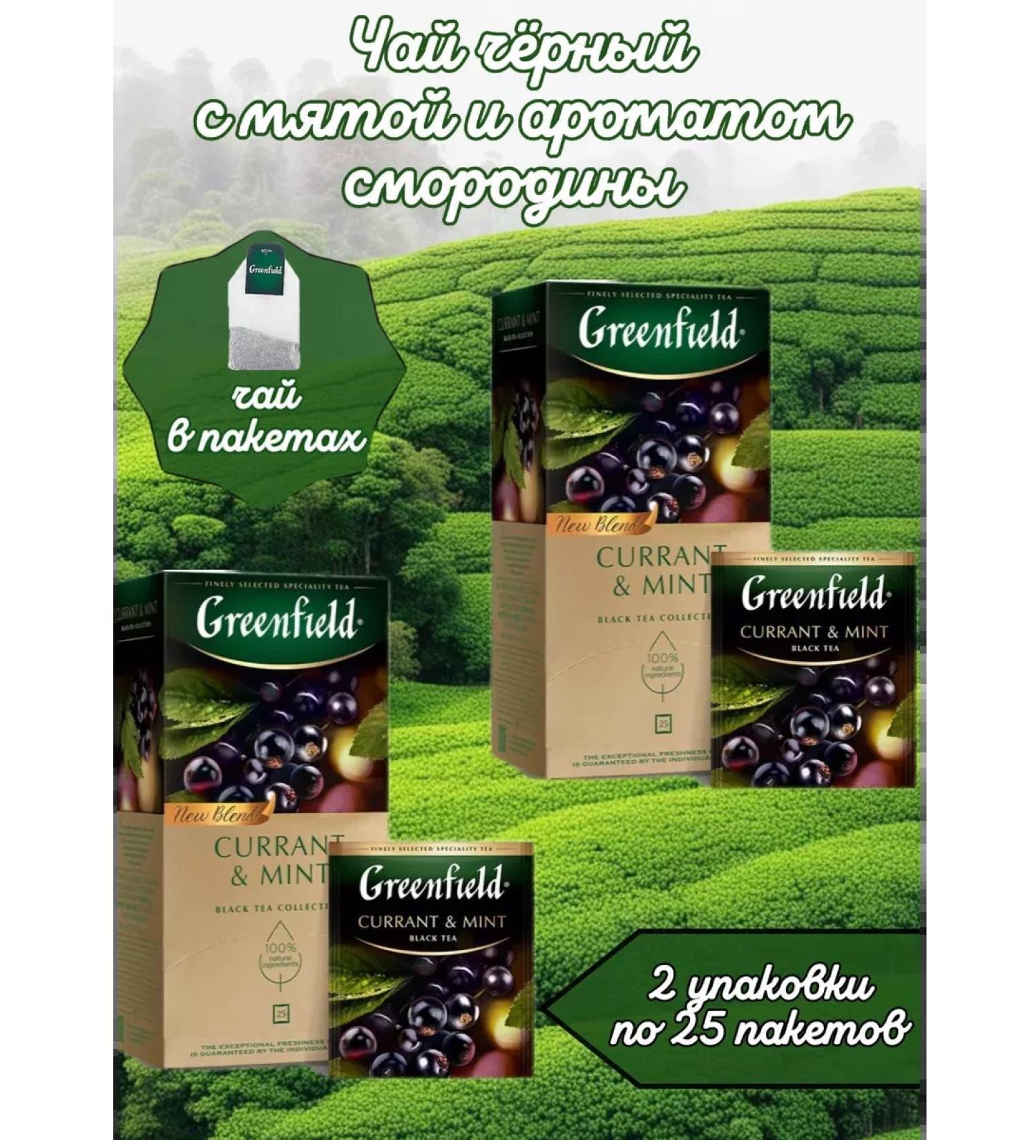 Greenfield Tea in Currant Mint packages 2 pcs 25 pack - Buy Online on GoSupps.com