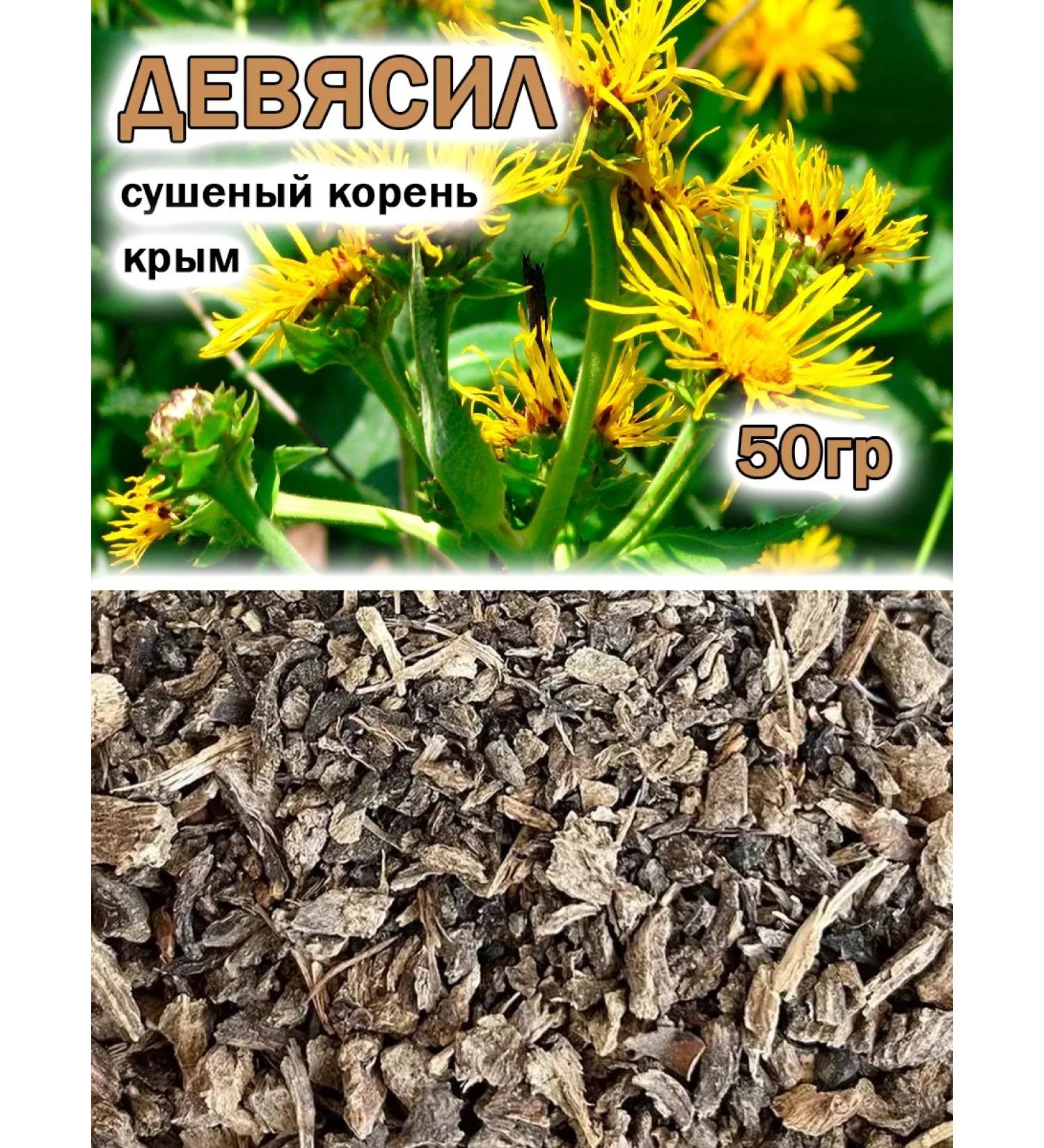 Tree of Love Sneyasil the root - Buy Online on GoSupps.com