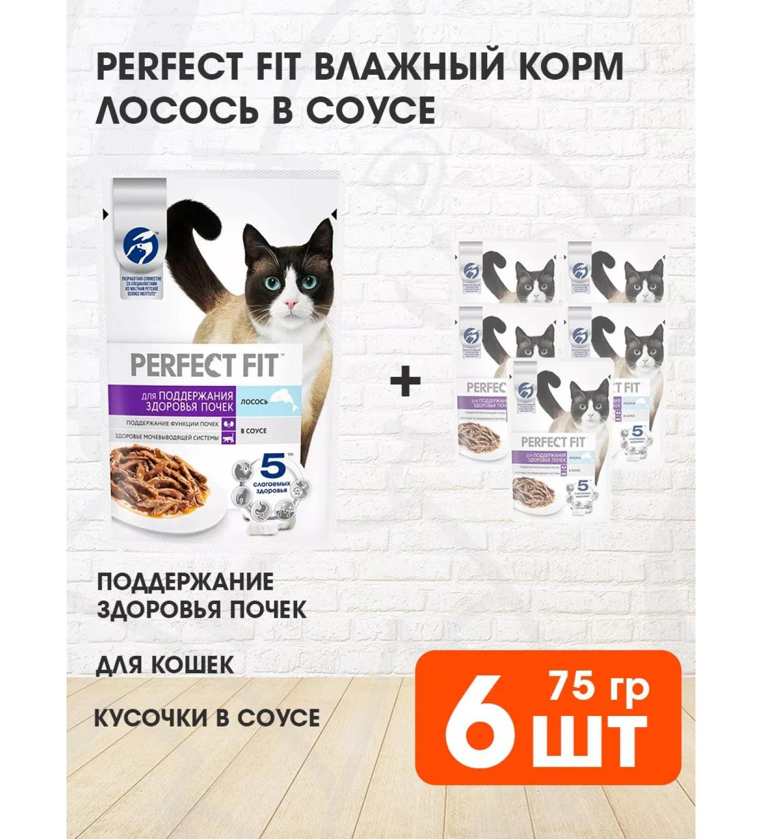 PERFECT FIT Feed moist health of the kidneys of cats salmon in sauce 75 g 6 pcs - Buy Online on GoSupps.com