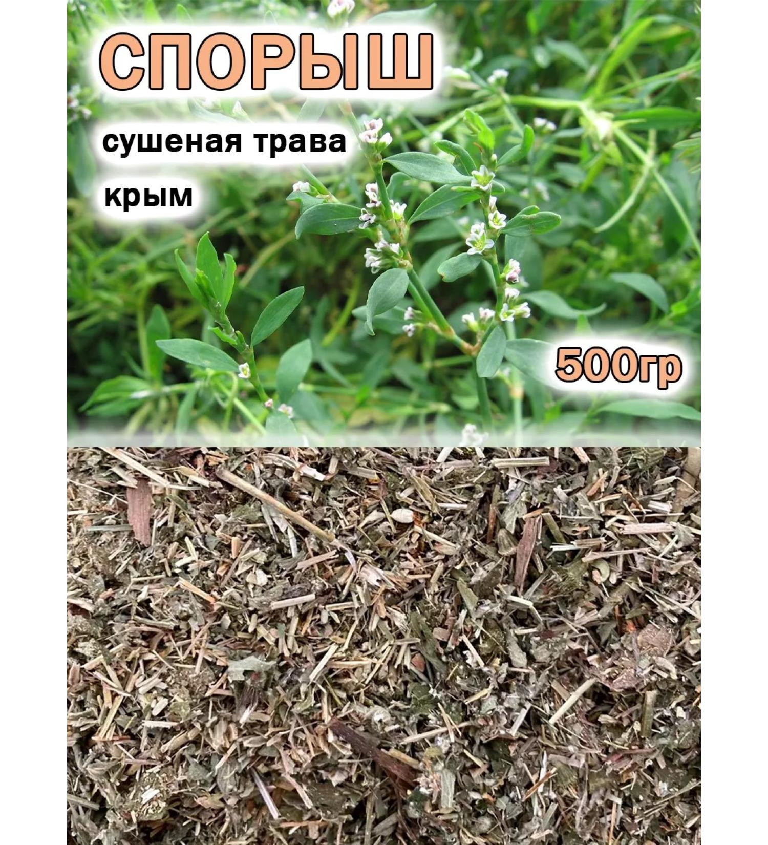 Tree of Love Knotweed herb - Buy Online on GoSupps.com