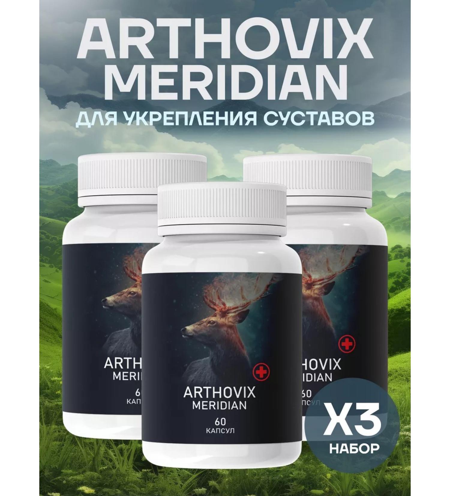 Joints for "Arthovix Meridian" - Buy Online on GoSupps.com