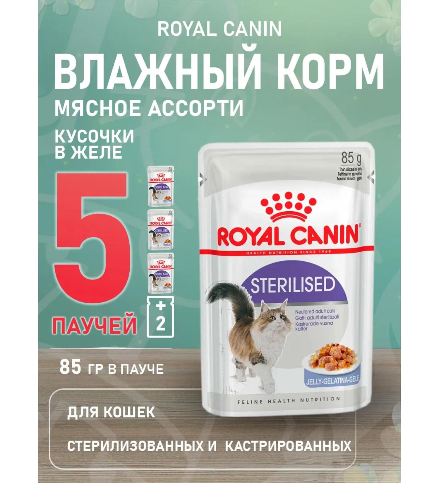 ROYAL CANIN Wet sterilized feed sterilized cats jelly 85 g 5pcs - Buy Online on GoSupps.com