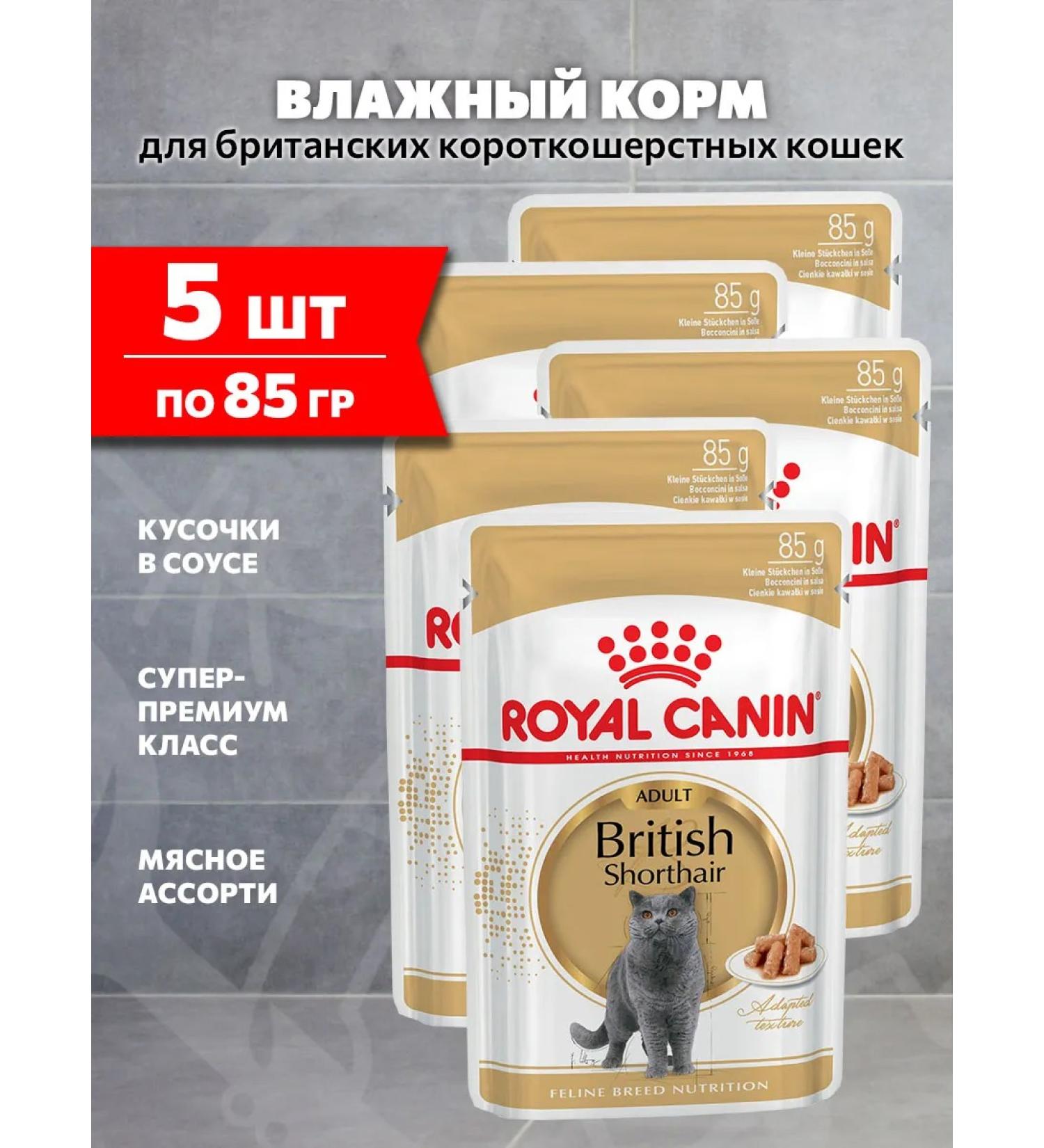 ROYAL CANIN Wet feed British shorthair for cats British 85 g 5pcs - Buy Online on GoSupps.com