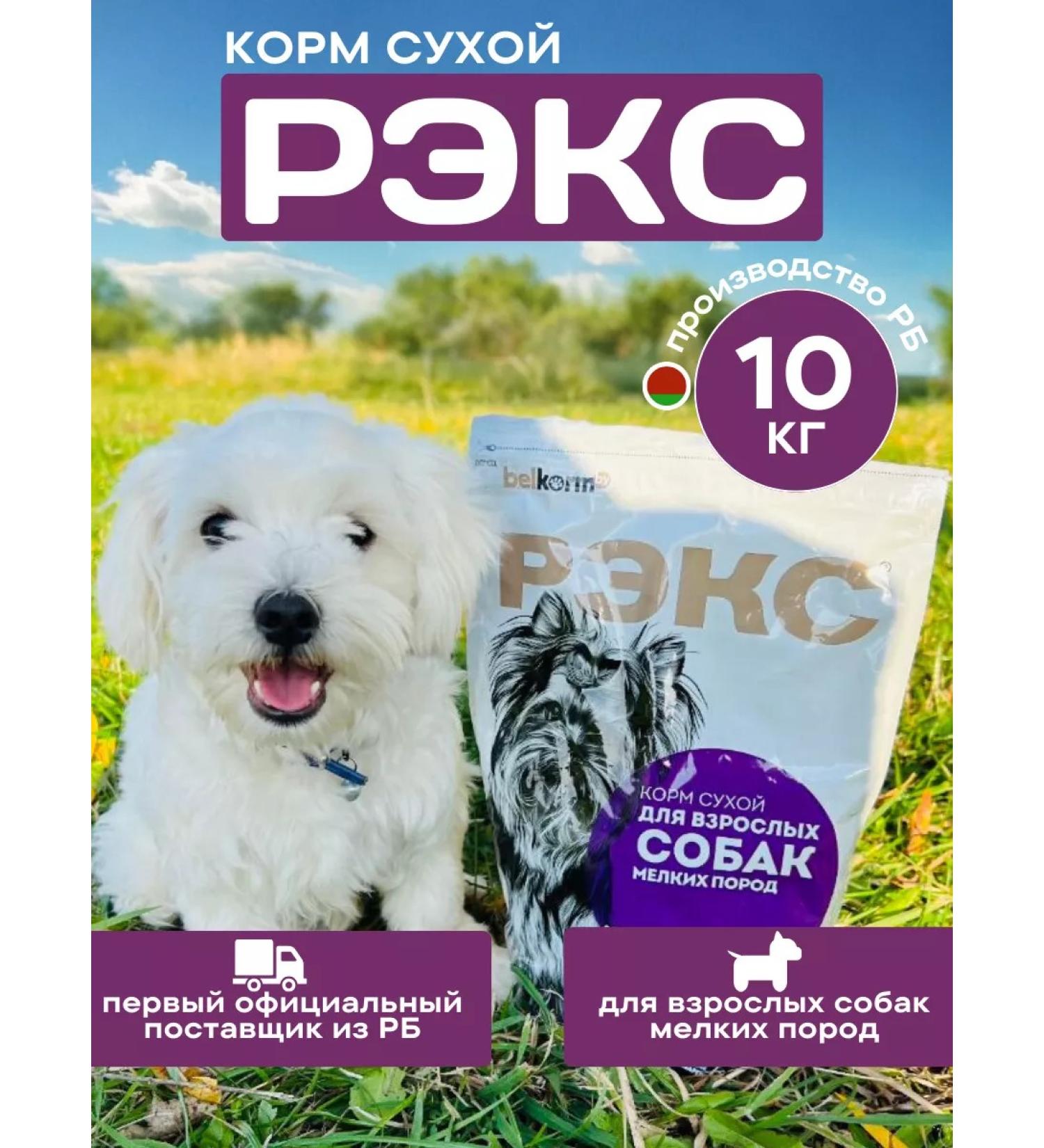 Belkorm Dry food for dogs of small breeds Rex 10 kg - Buy Online on GoSupps.com