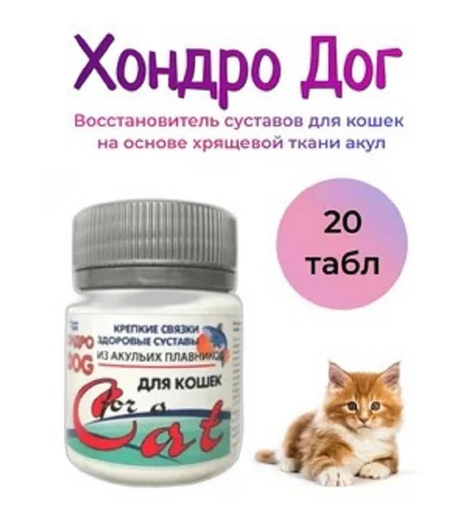 Silver Trail Silver Track for KOondro Dog Cat cats 20 tablets - Buy Online on GoSupps.com