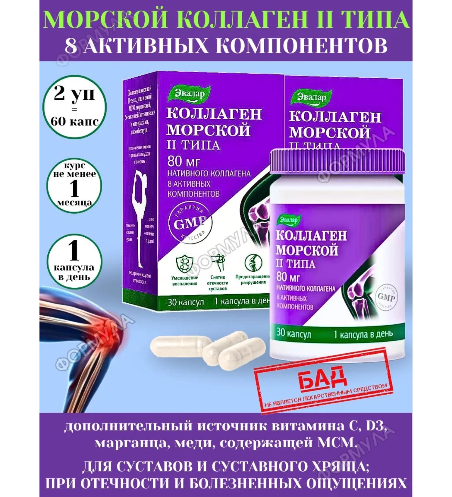 Evalar Type 2 -type collagen for joints 30kaps*2UP - Buy Online on GoSupps.com