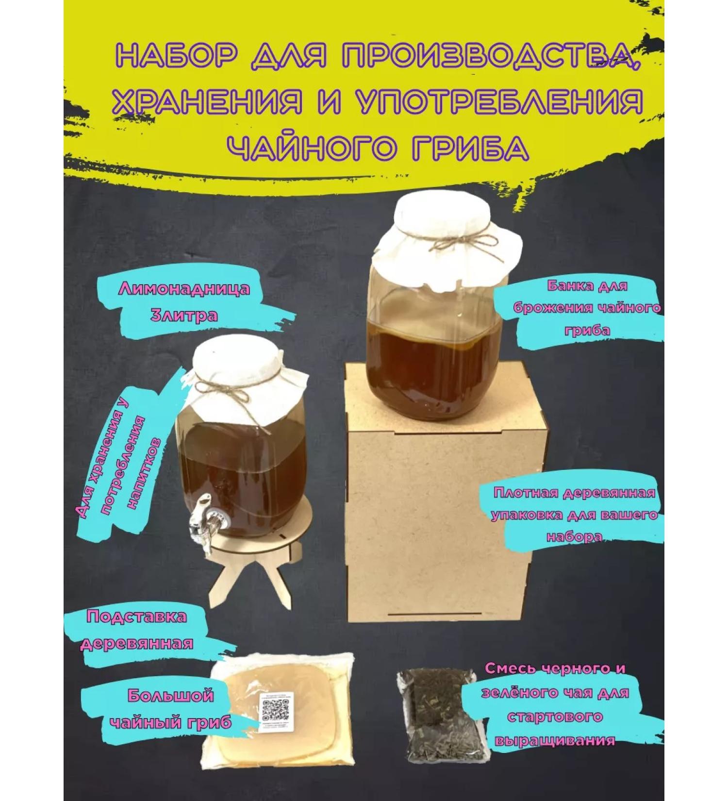 Kombucha Factory Set for the production and storage of tea fungus - Buy Online on GoSupps.com