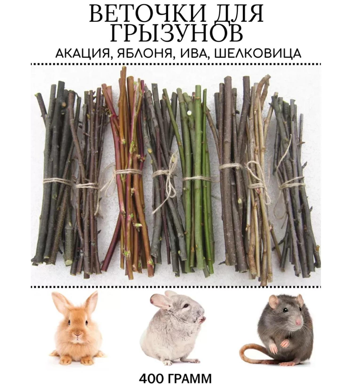 Hay & Grain Branches of rodents natural sticks