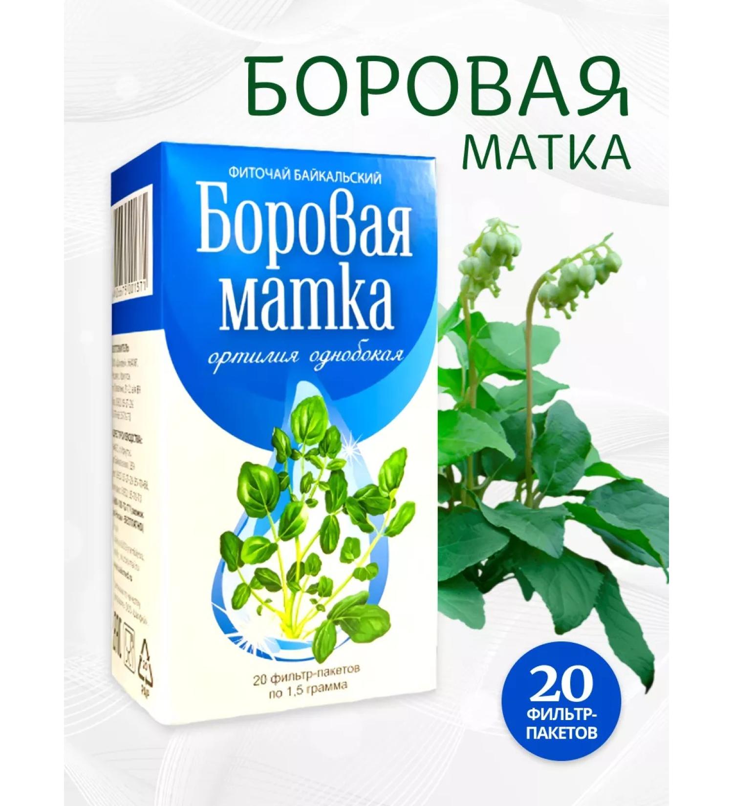 Sage Borow uterus grass 20 - Buy Online on GoSupps.com