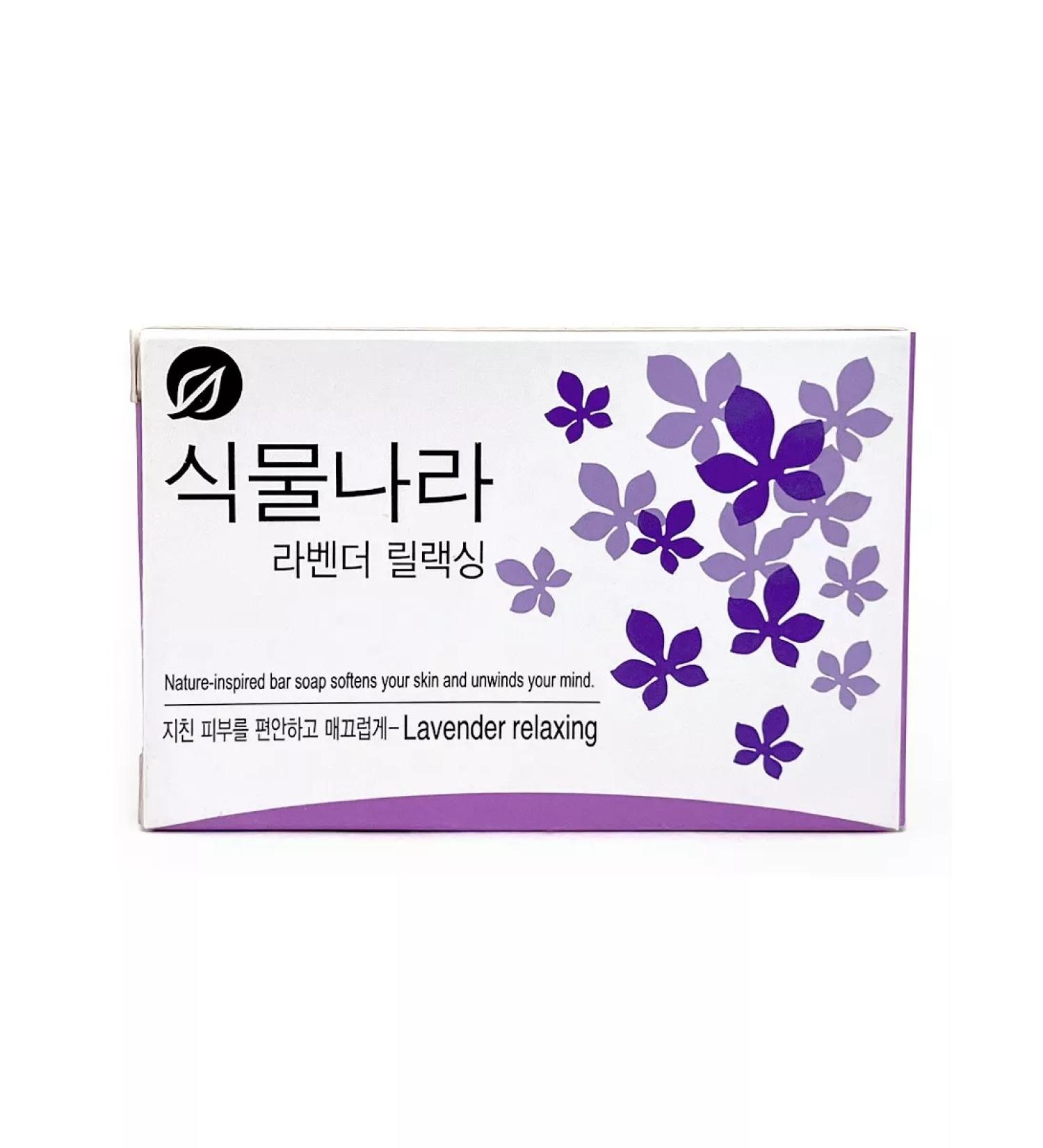 LION Soap hard -mounted toilet - Buy Online on GoSupps.com