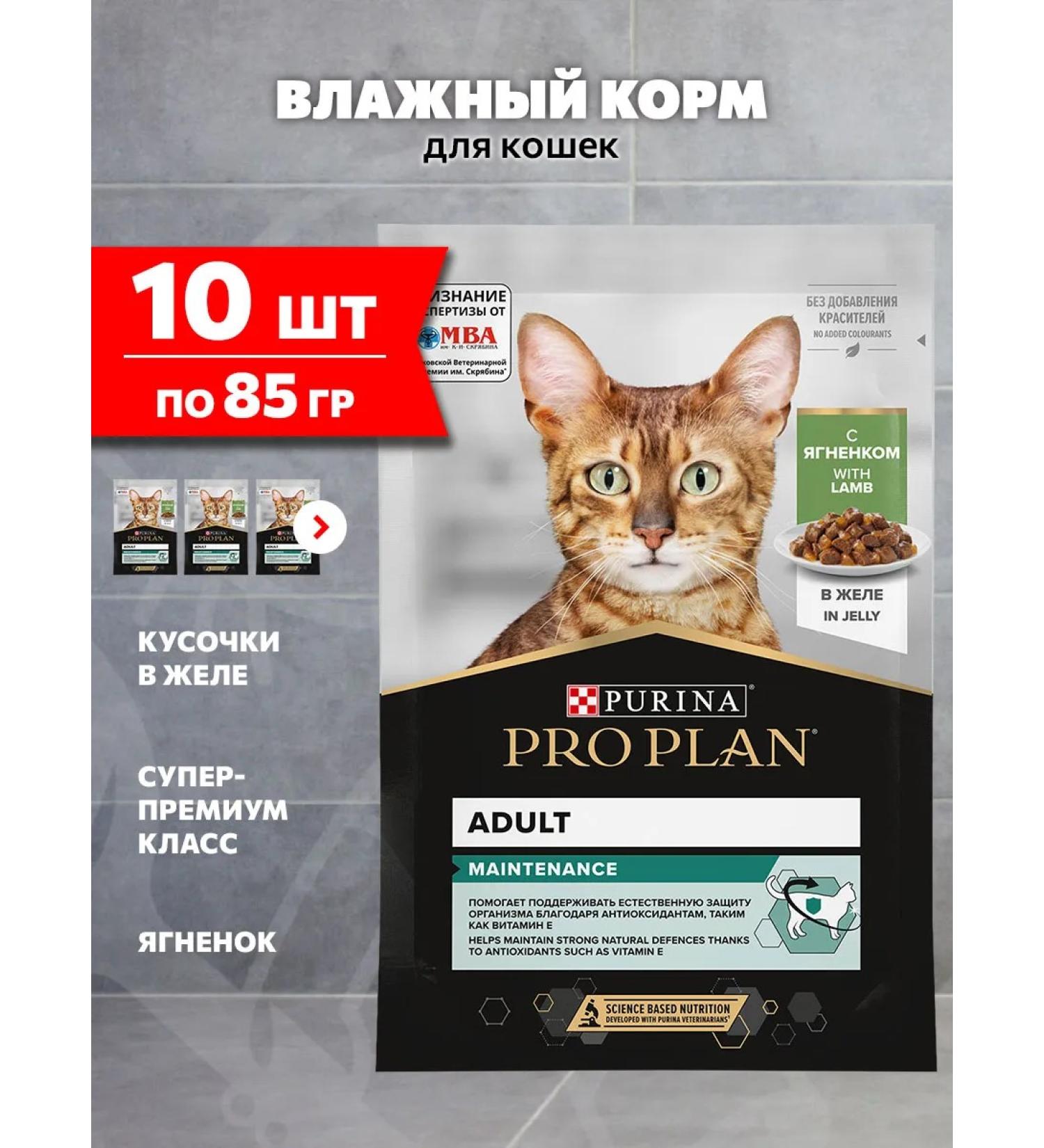 PRO PLAN Wet feed for cats lambs in jelly 85 g 10 pcs - Buy Online on GoSupps.com