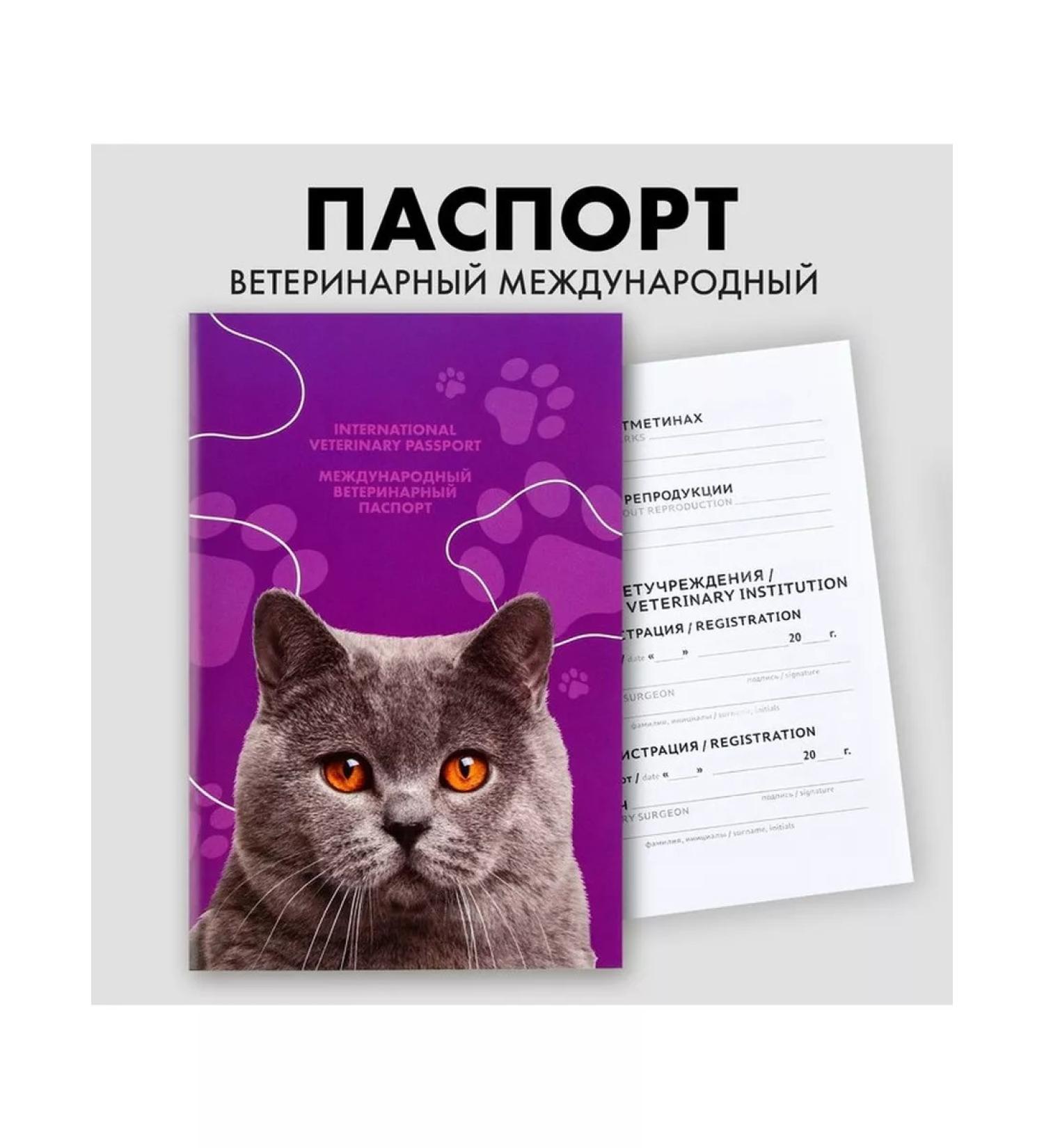 Fluffy happiness International universal veterinary passport for cats - Buy Online on GoSupps.com