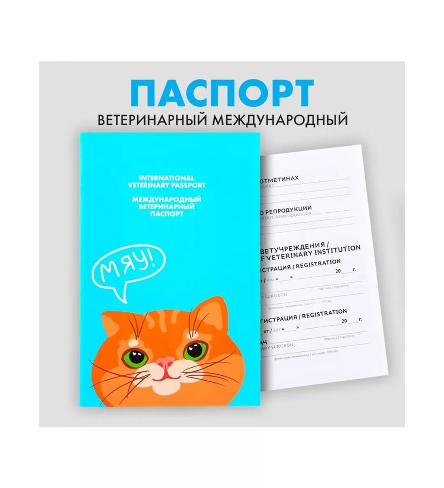 Fluffy happiness Veterinary passport International red cat - Buy Online on GoSupps.com