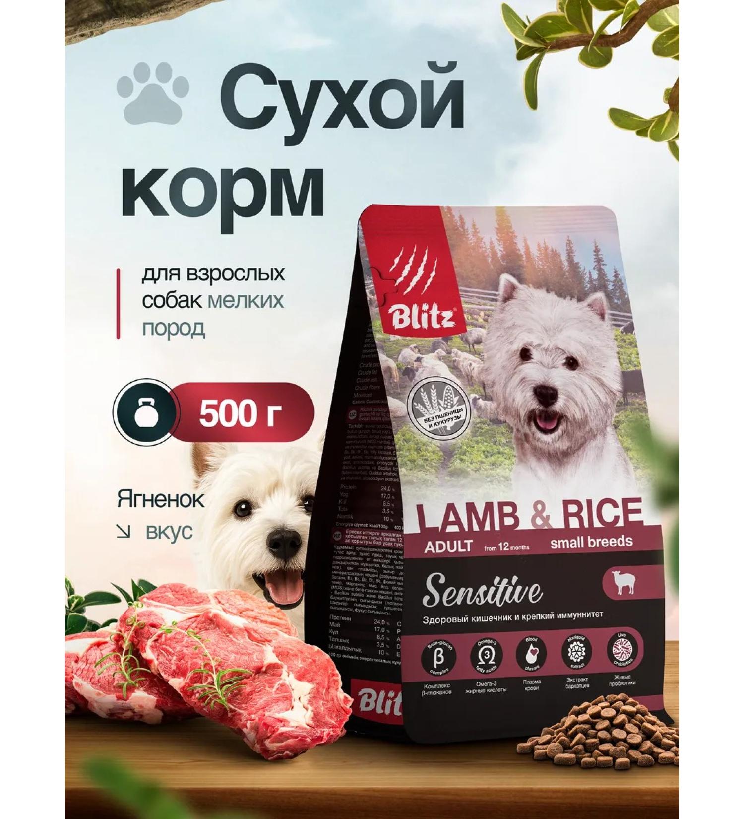 BLITZ Dry food for small breeds with lamb 0.5 kg - Buy Online on GoSupps.com