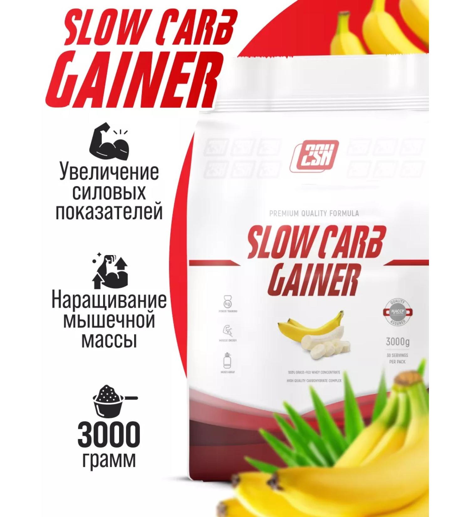 2SN Gainer on slow carbohydrates banana 3kg - Buy Online on GoSupps.com