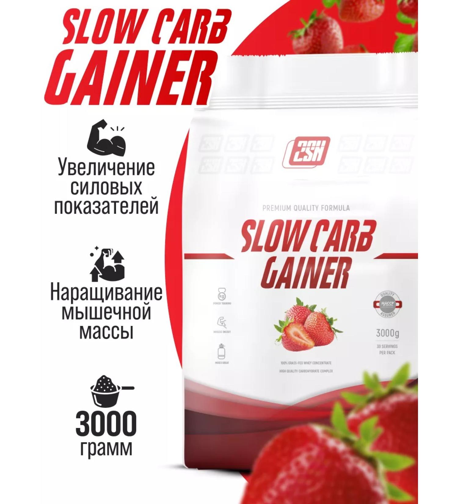 2SN Gainer on slow carbohydrates strawberries 3kg - Buy Online on GoSupps.com