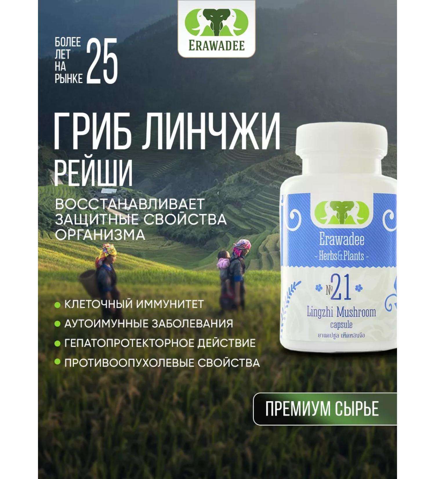 Erawadee Premium Reishi Mushroom Lynchi Capsules for Immunity No. 21 - Buy Online on GoSupps.com