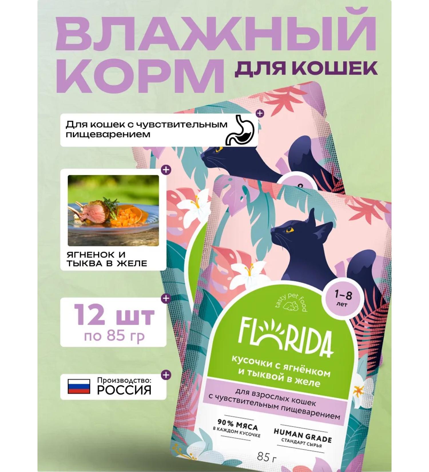 FLORIDA Wet feed of adult cats with lamb in jelly 85g-12pcs