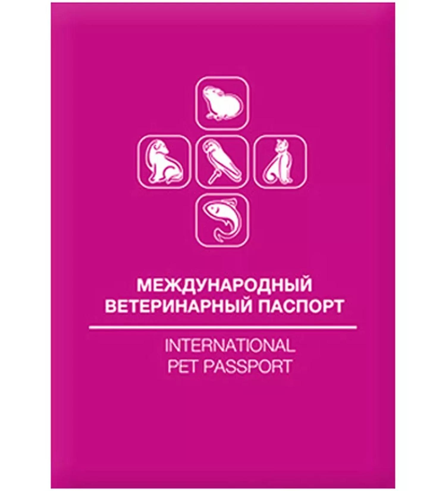 DOGLIKE Veterinary passport for dogs of cats international