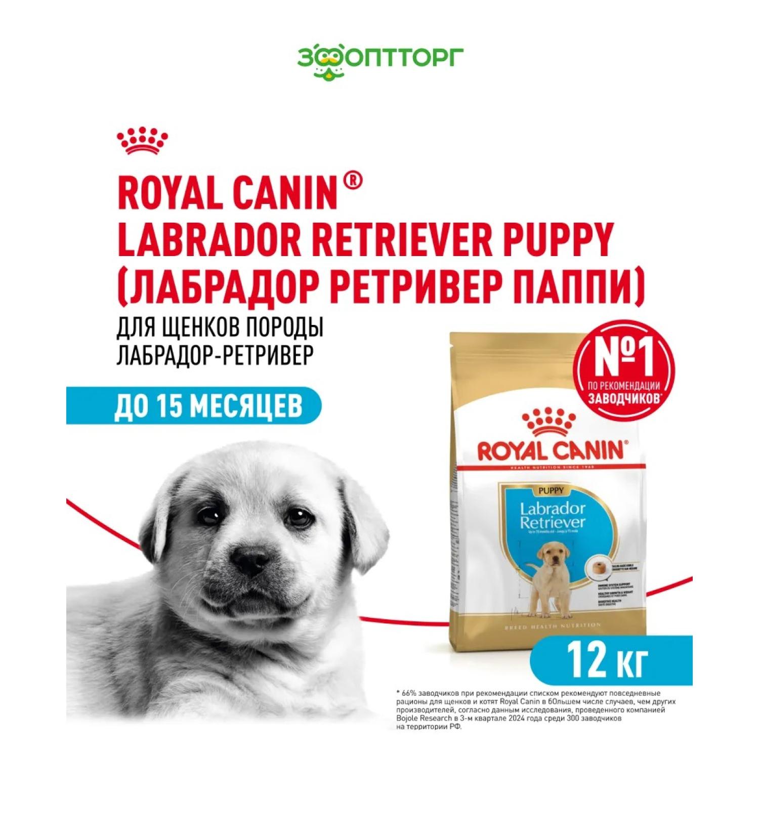 ROYAL CANIN Dry food for labrador breed puppies 12 kg - Buy Online on GoSupps.com