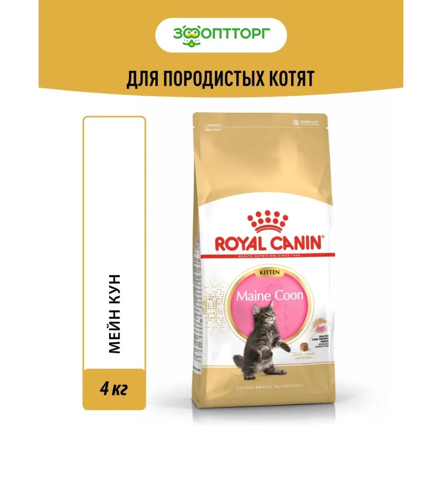 ROYAL CANIN Dry feed Main Coon Kitten for kittens of Maine-kun rocks 4 kg - Buy Online on GoSupps.com