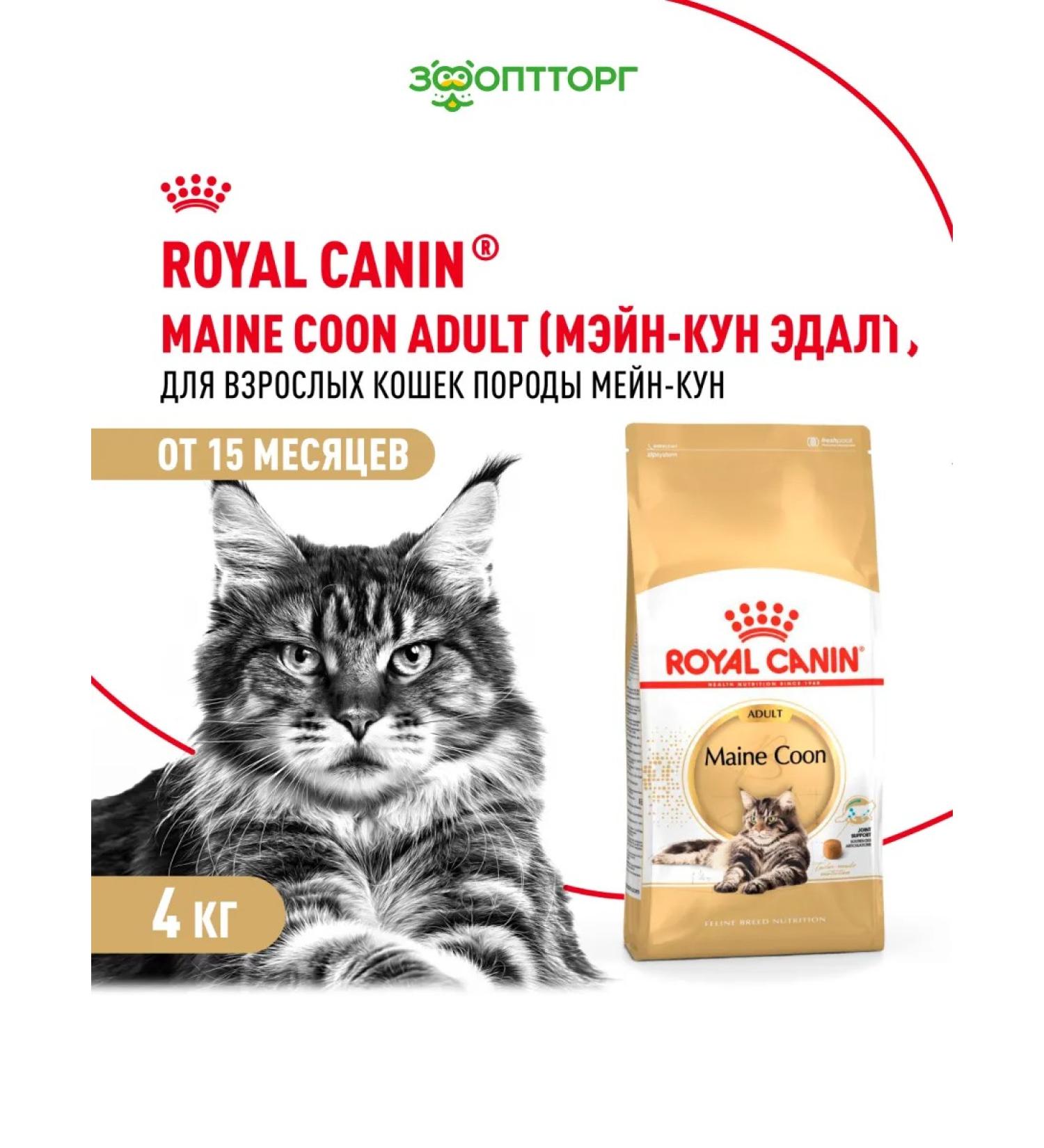 ROYAL CANIN Dry food Maine Coon for cat cats Maine-kun 4 kg - Buy Online on GoSupps.com