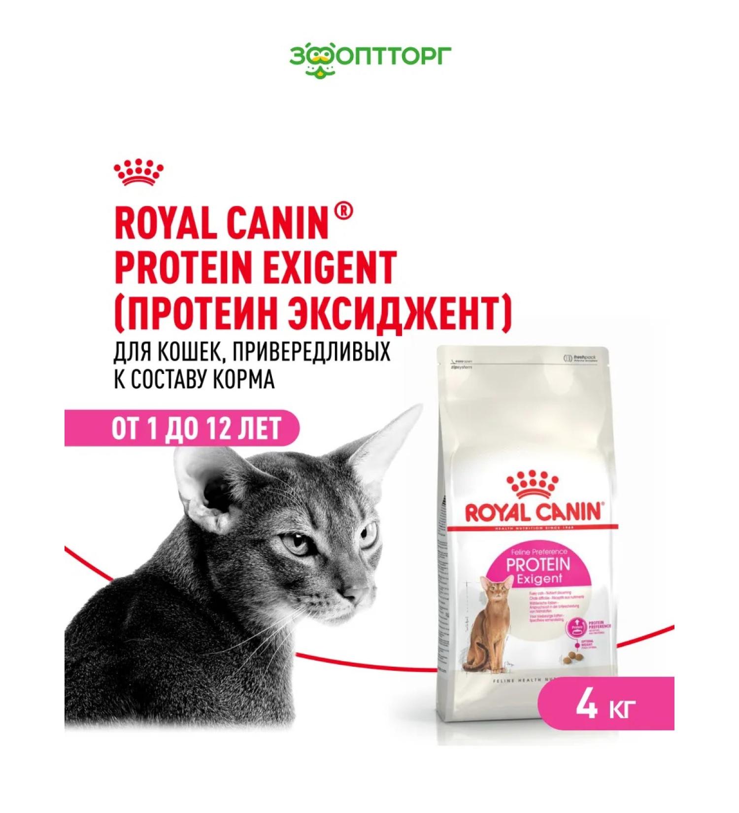 ROYAL CANIN Dry food Exigent Protein for mocking cats 4 kg - Buy Online on GoSupps.com
