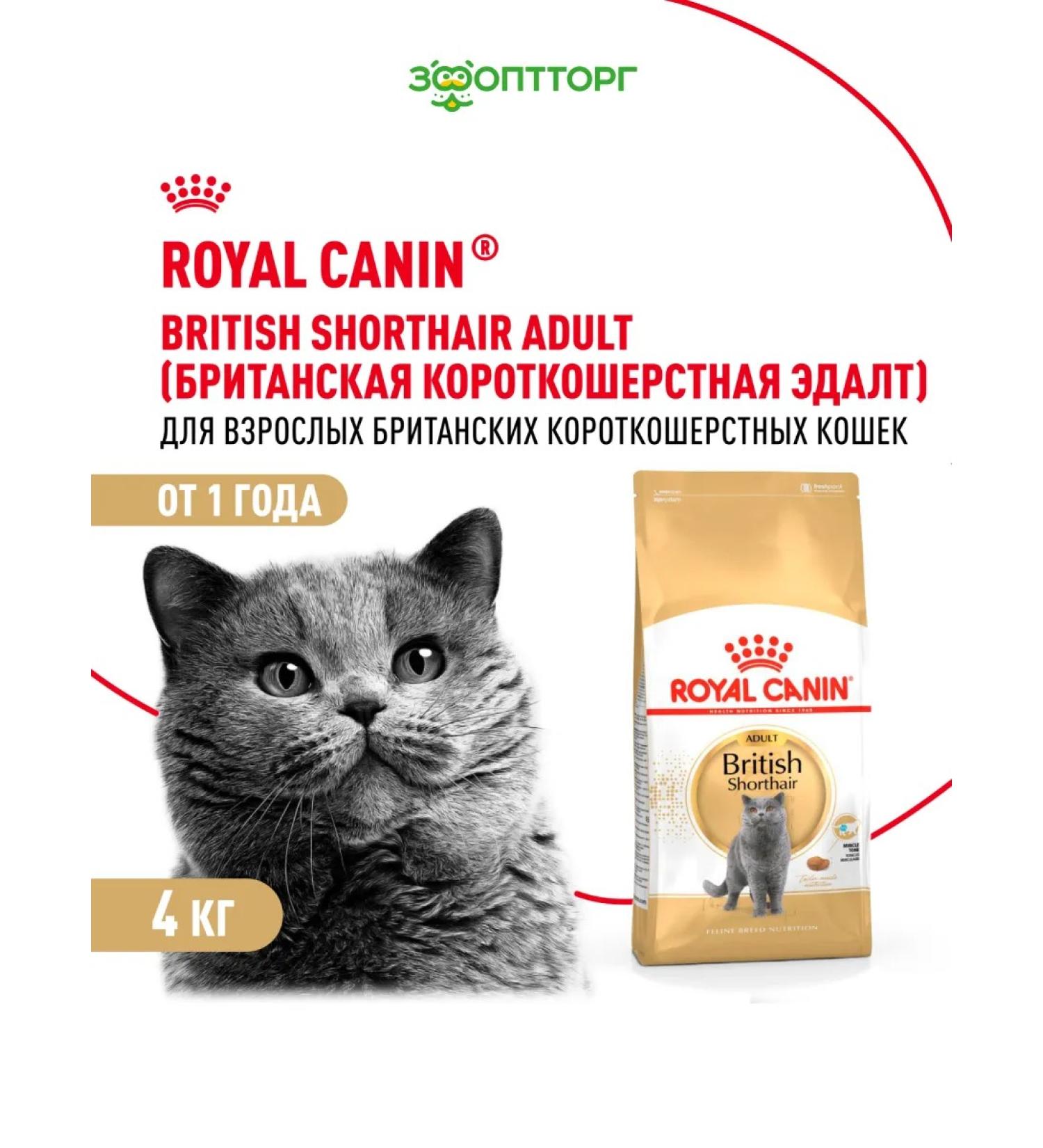 ROYAL CANIN Dry food British Shorthair for British cats 4 kg - Buy Online on GoSupps.com
