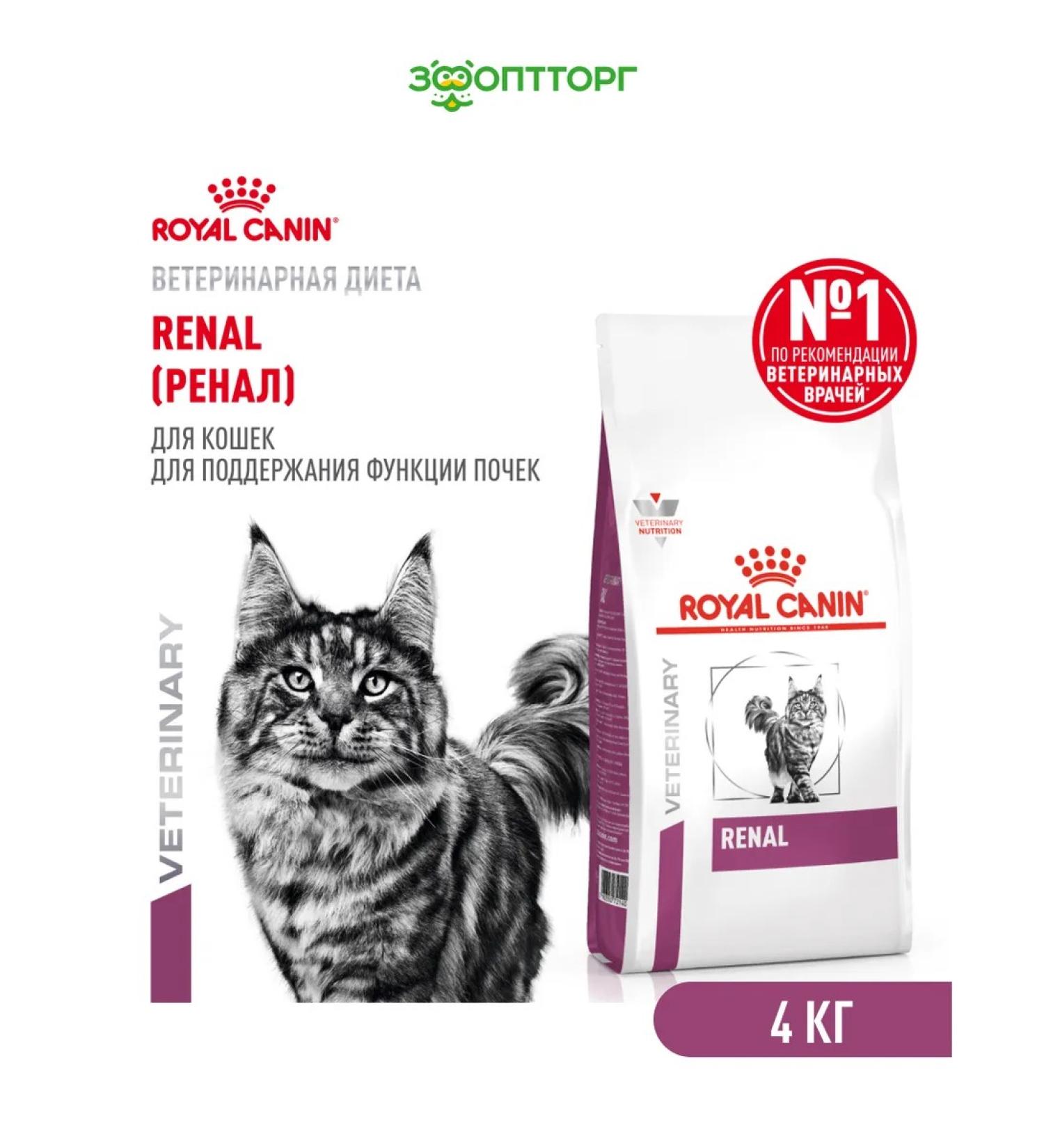Royal Canin Veterinary Diet Dry feed Renal for cats with renal failure 4 kg - Buy Online on GoSupps.com