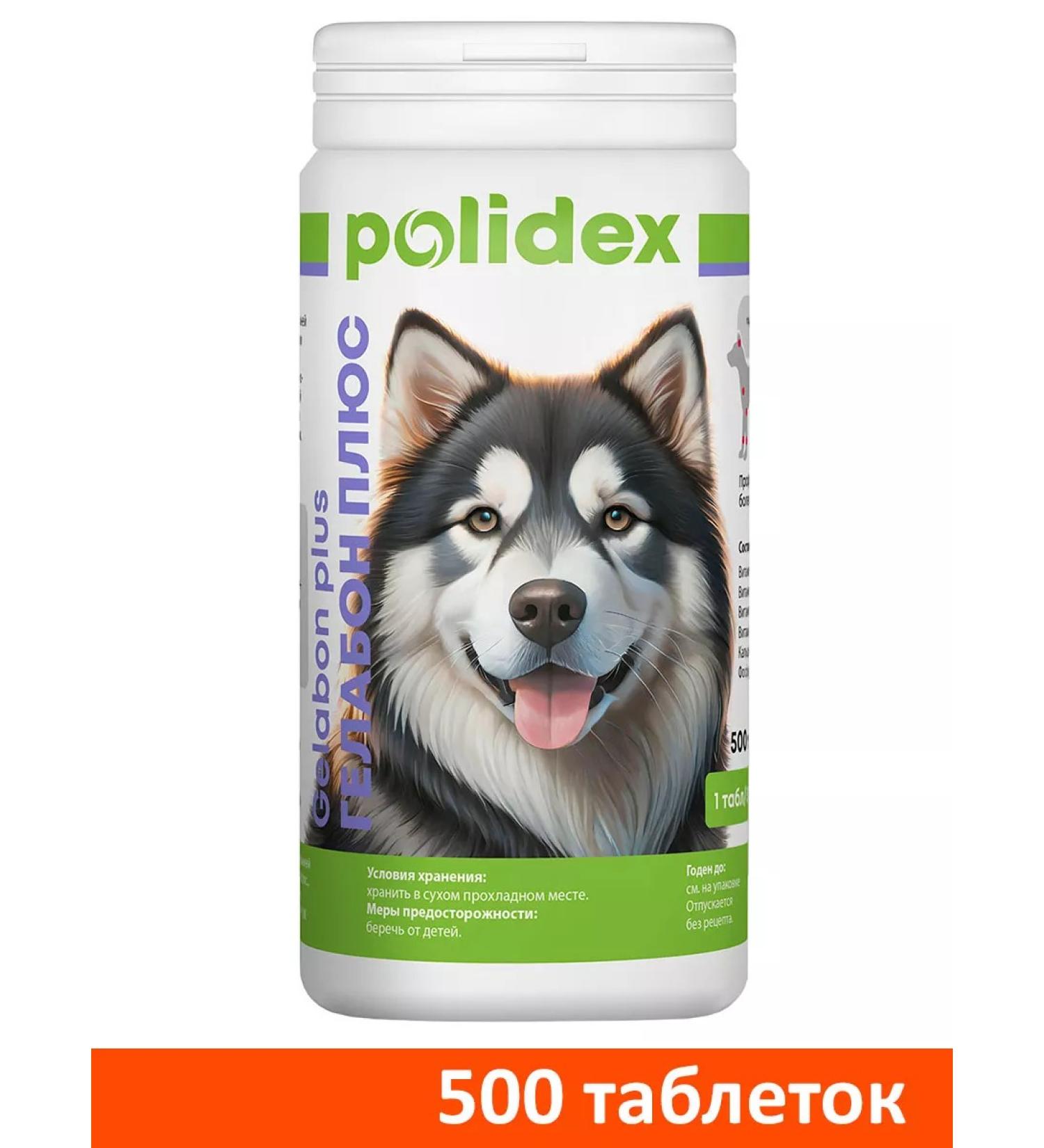 polidex 500