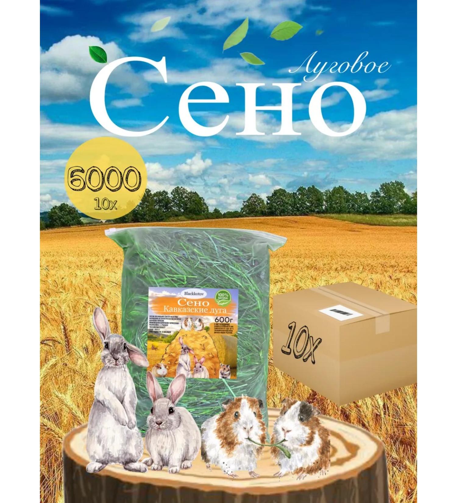 Blackcats Lugovo -pissed hay for rodents - Buy Online on GoSupps.com