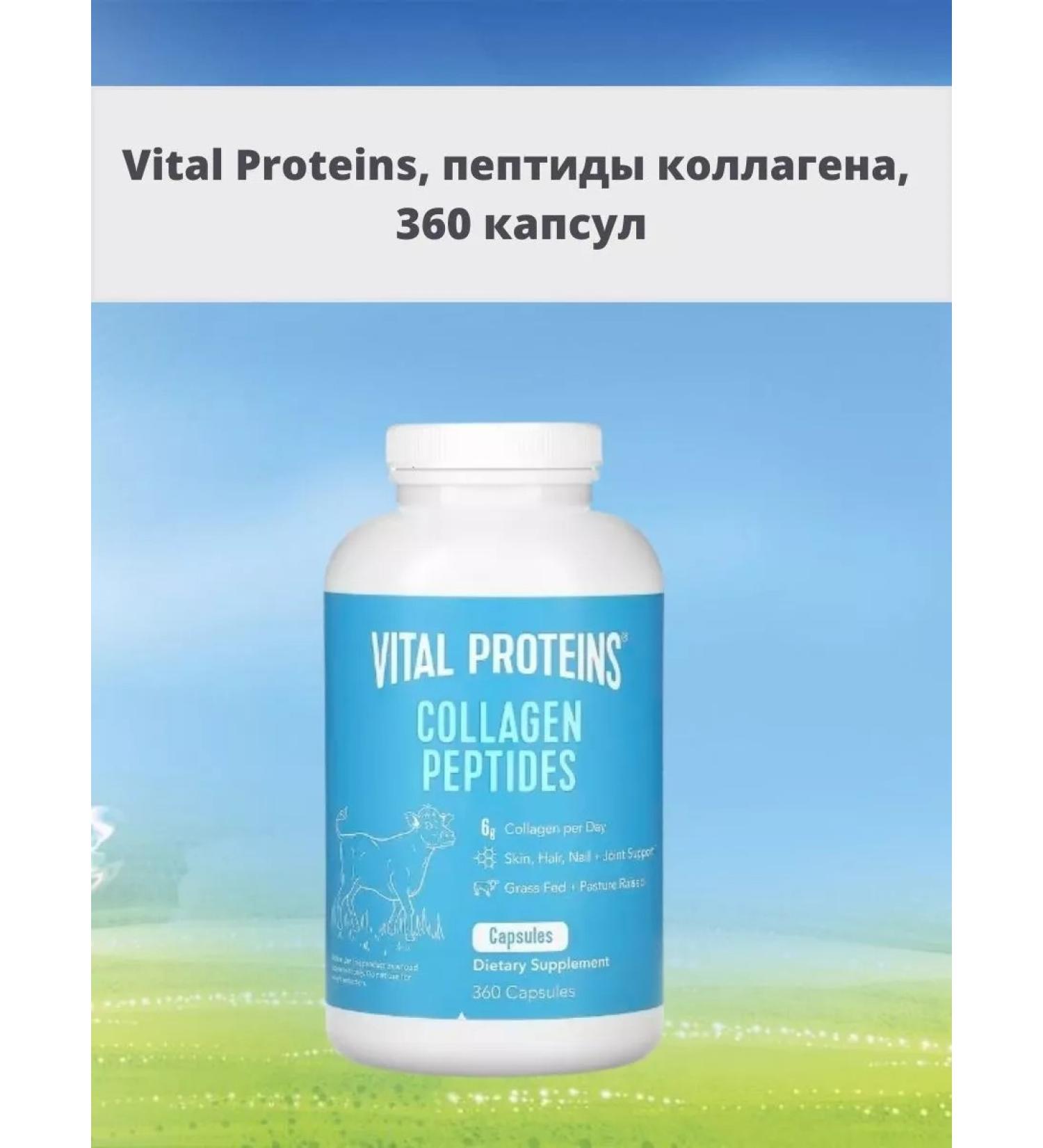 Vital Proteins collagen peptides 360 capsules - Buy Online on GoSupps.com