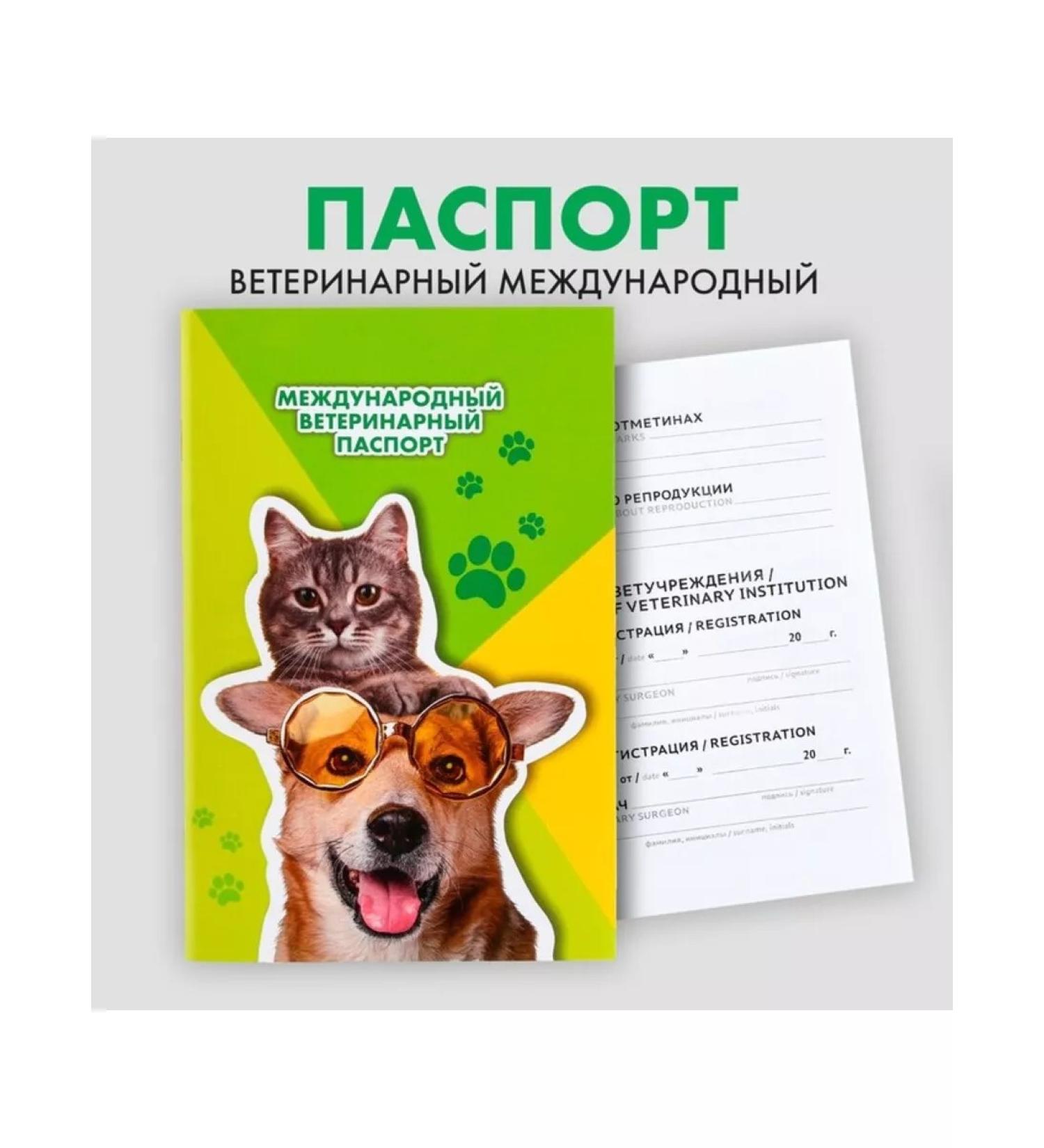 In Mother's Hands International veterinary passport for cats and dogs 2 pcs - Buy Online on GoSupps.com