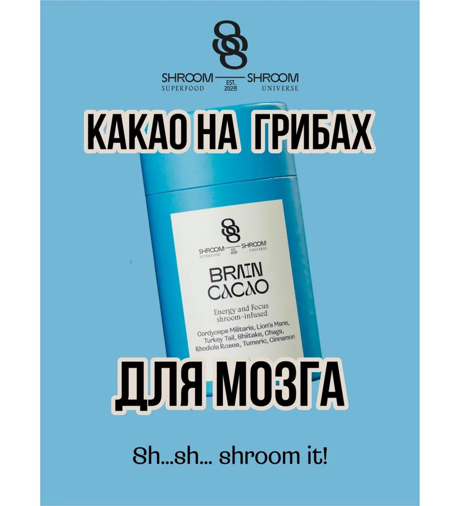 SHROOM SHROOM Cocoa on mushrooms for energy without caffeine Brain - Buy Online on GoSupps.com